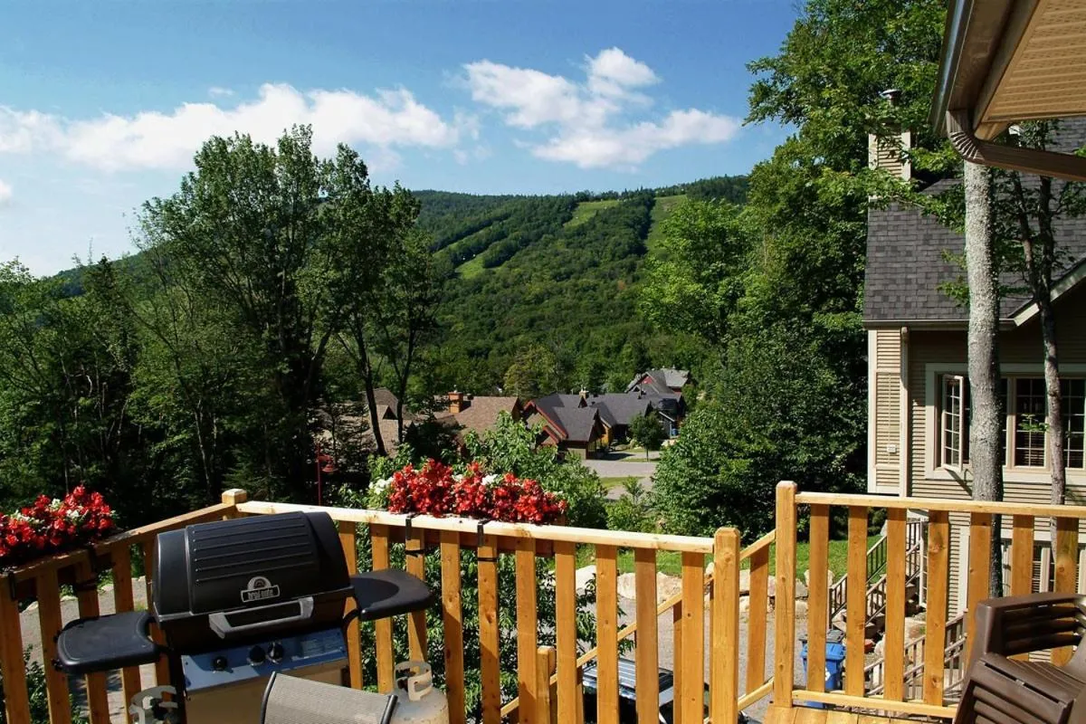Balcony/Terrace in Chalets Alpins - 56 Chemin des Skieurs