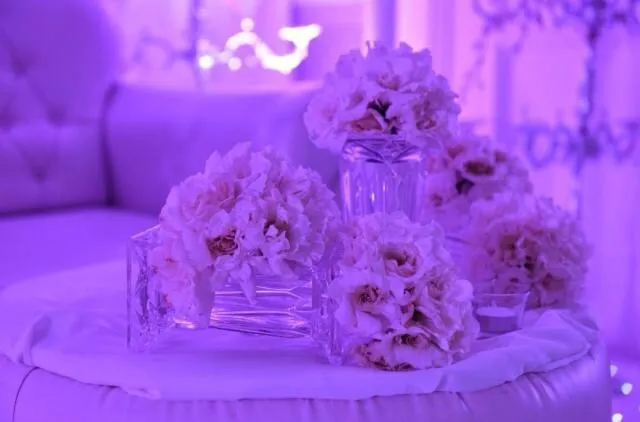 Other in Royal Garden Hotel