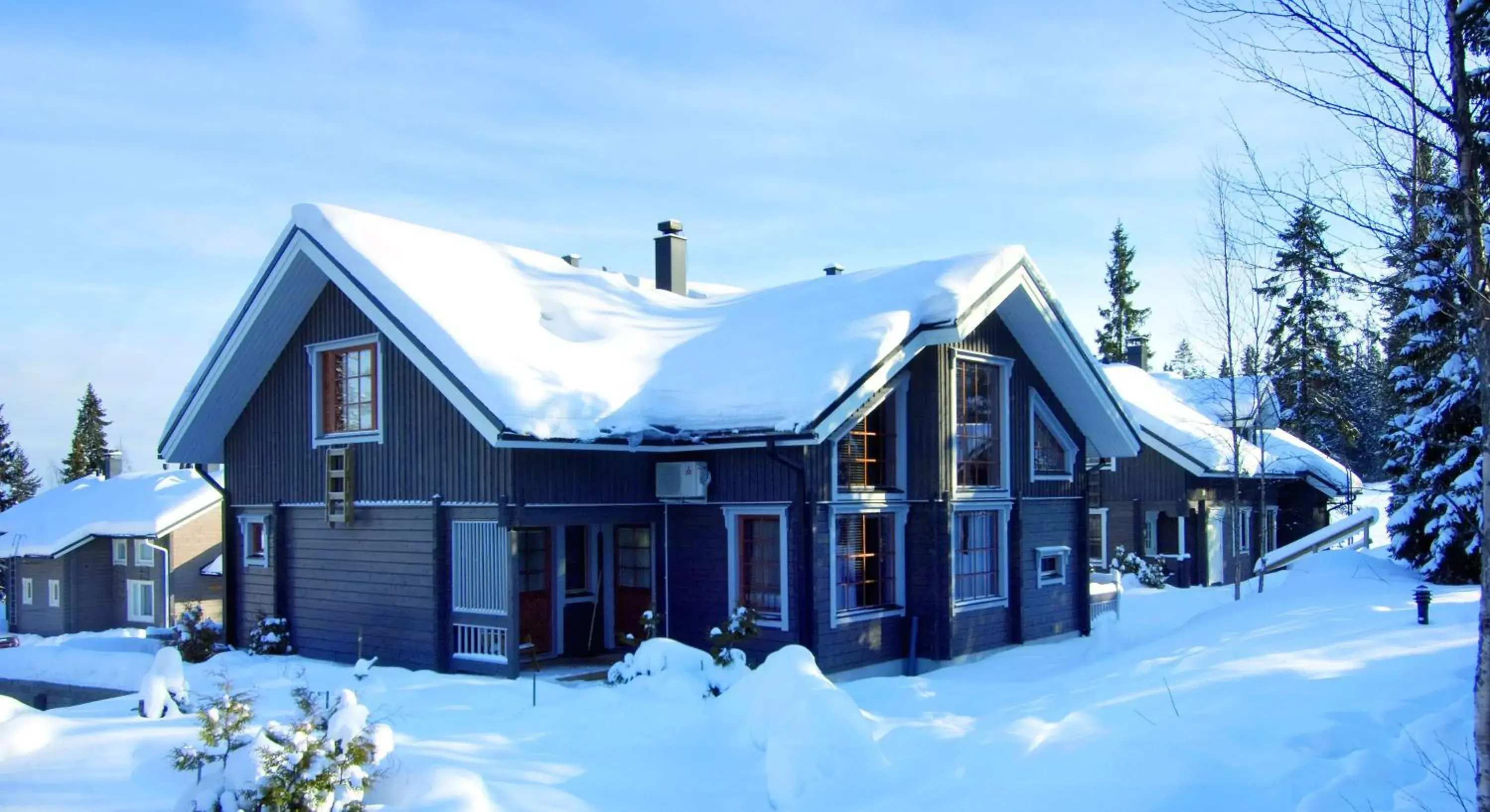 Vuokatin Aateli Villa Ruhtinatar Vuokatin Aateli Villa Ruhtinatar