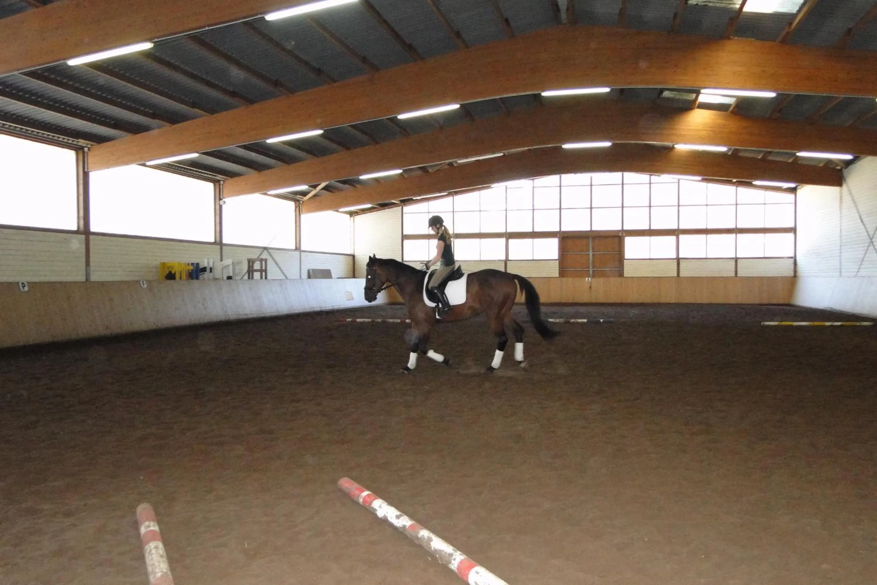 Horse-riding in Friesenhof Hotel-Restaurant-Reitanlage
