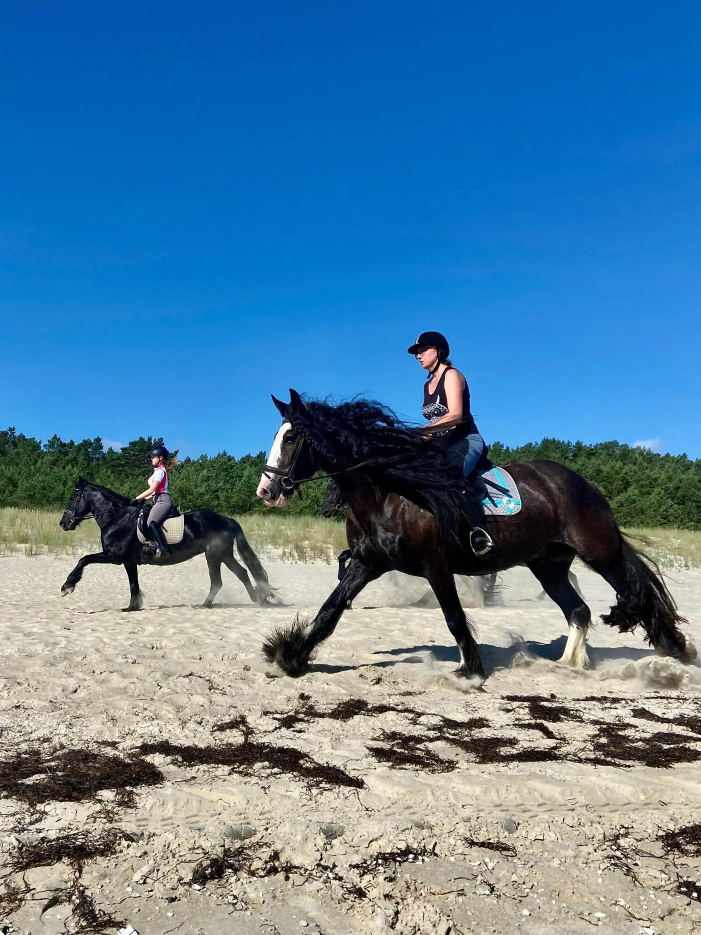 Horse-riding in Friesenhof Hotel-Restaurant-Reitanlage