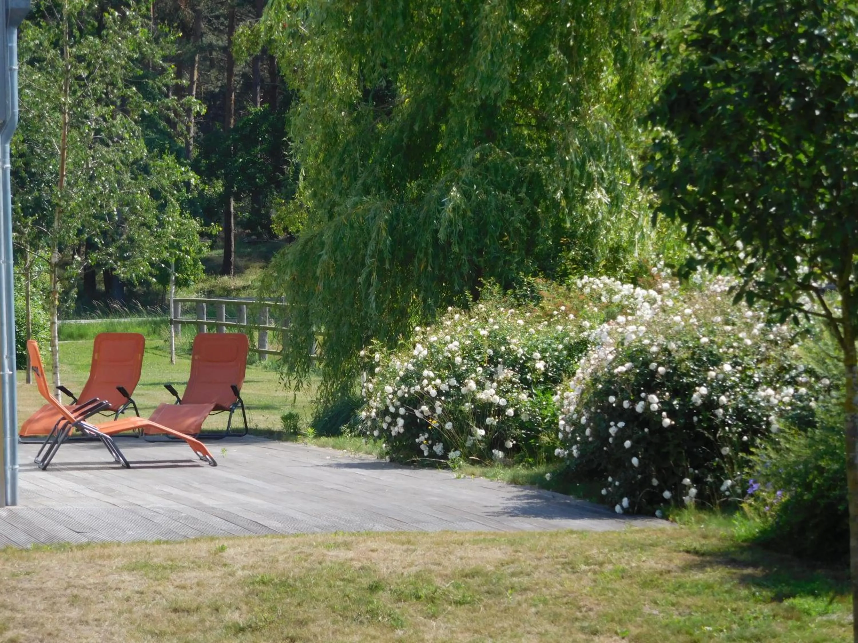Garden in Friesenhof Hotel-Restaurant-Reitanlage