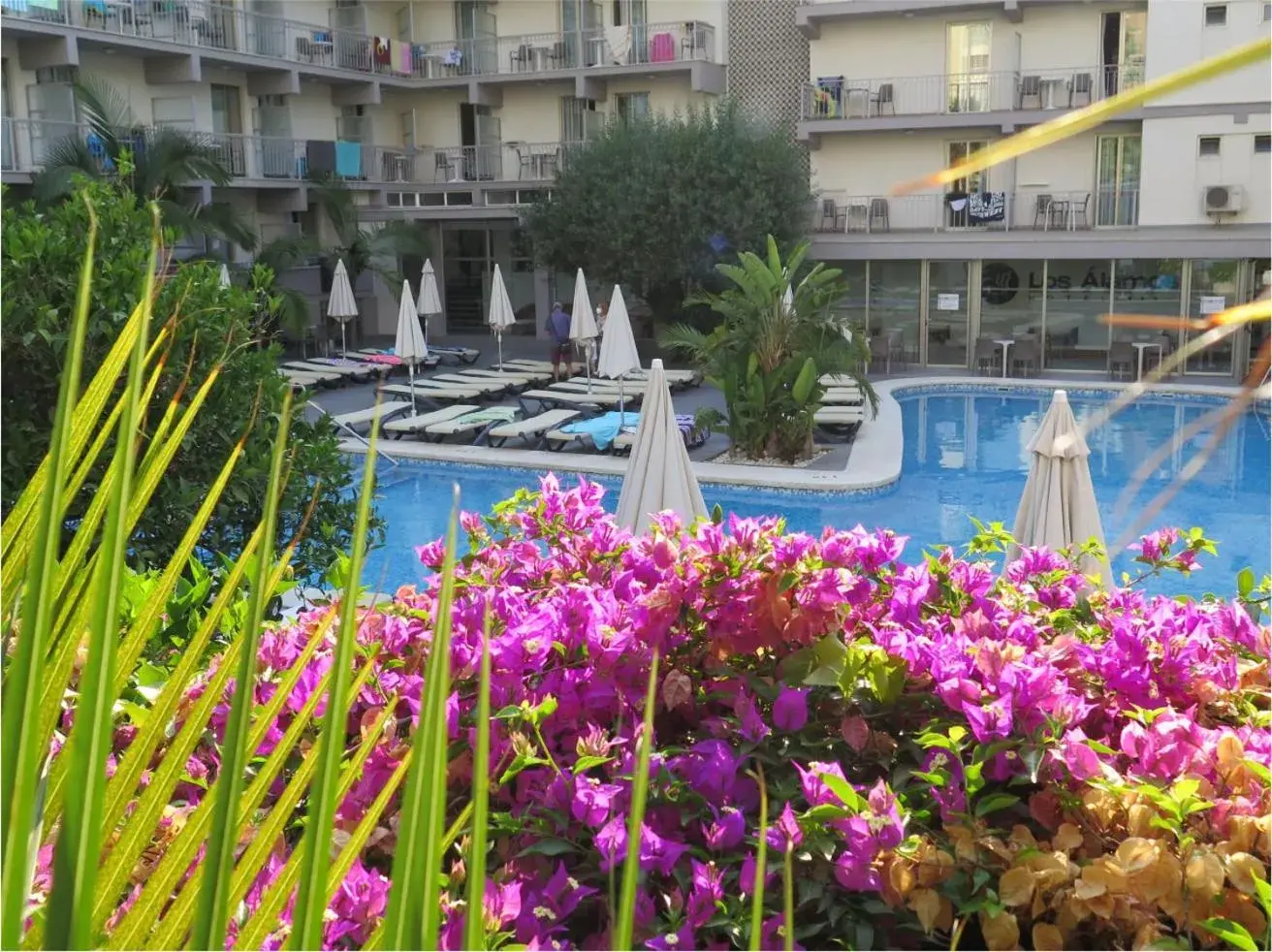 Pool view in Los Álamos Pool view in Los Álamos