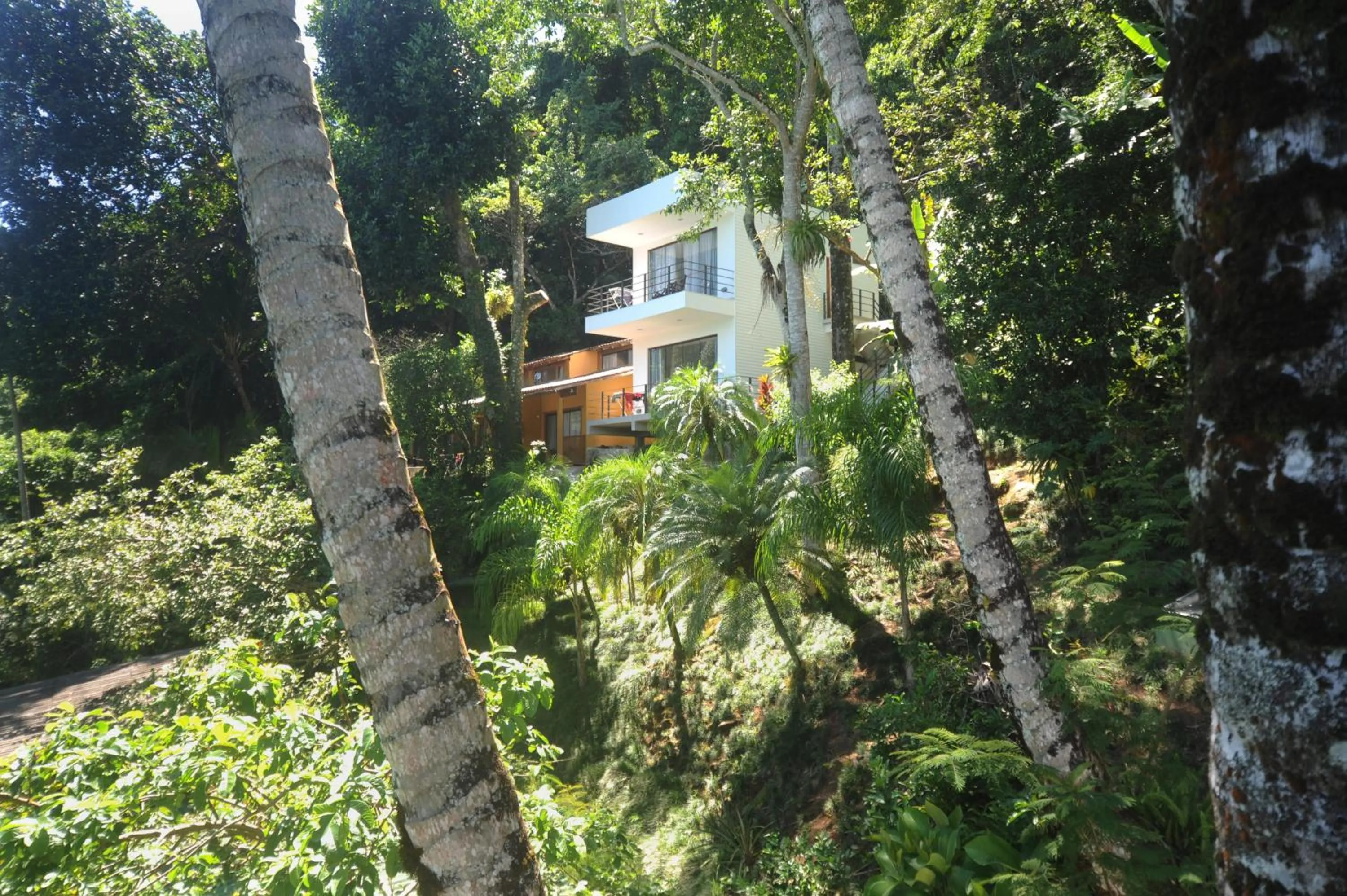 Property building in Asalem