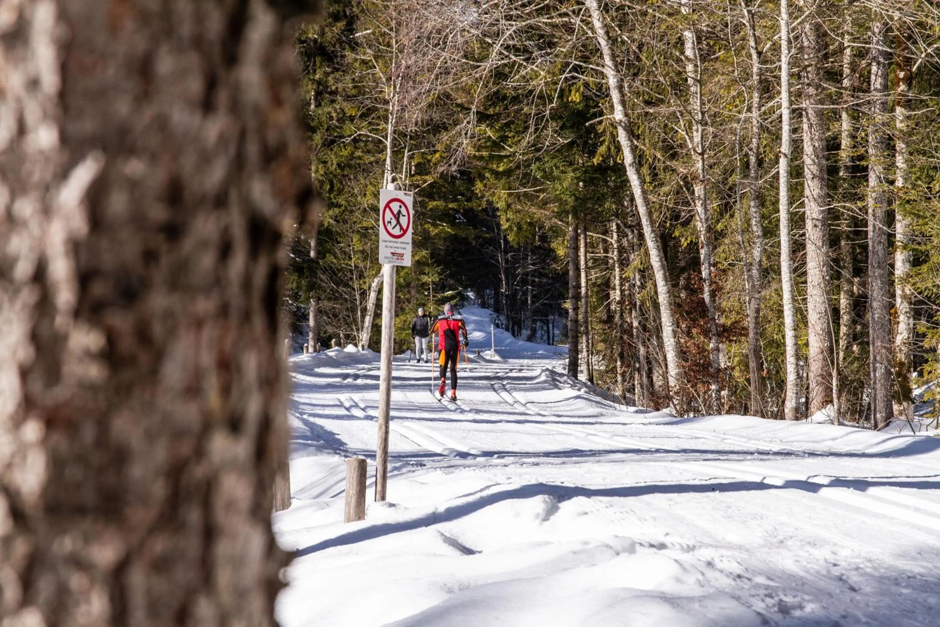 Winter in Hotel Berlin Tegernsee