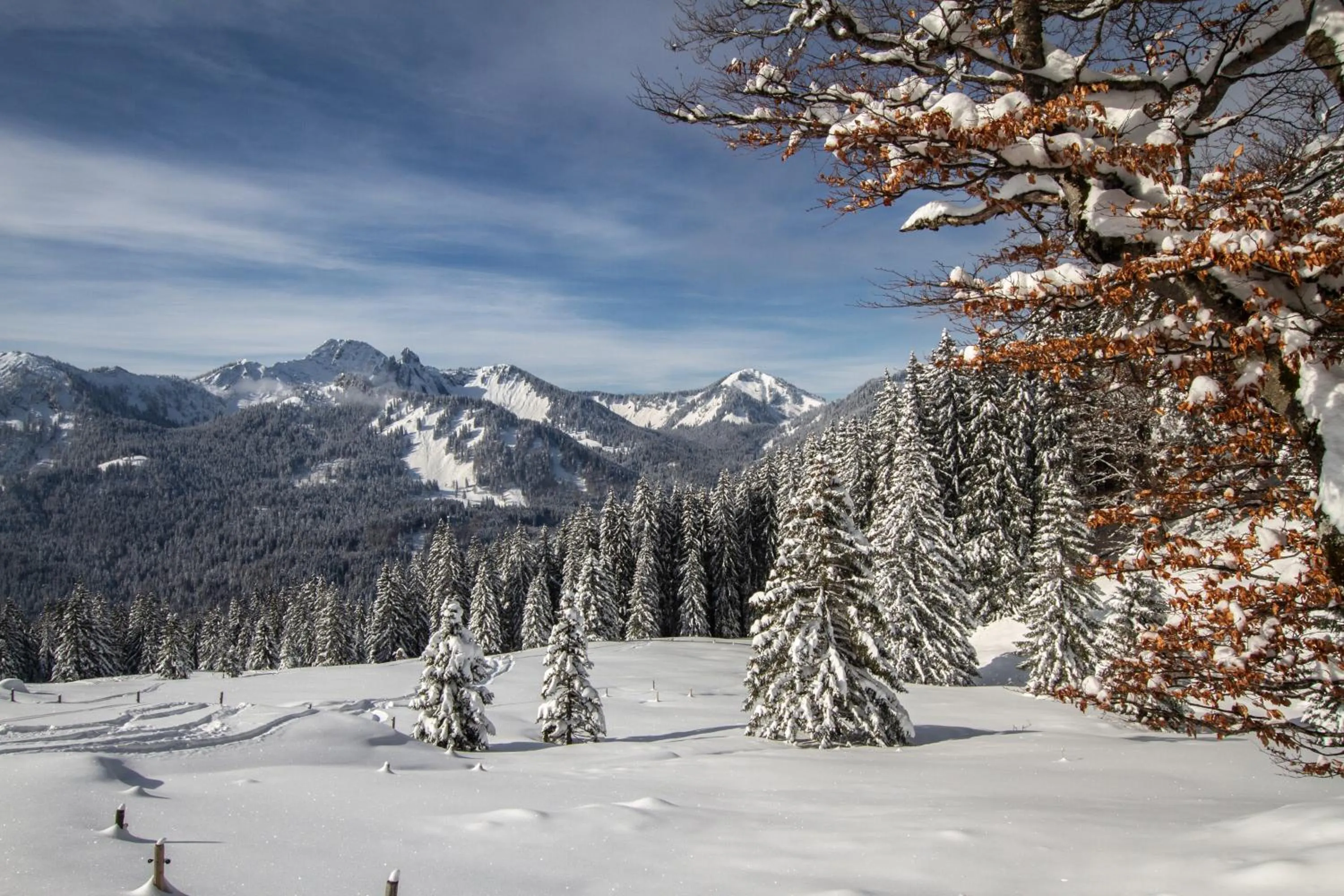 Winter in Hotel Berlin Tegernsee