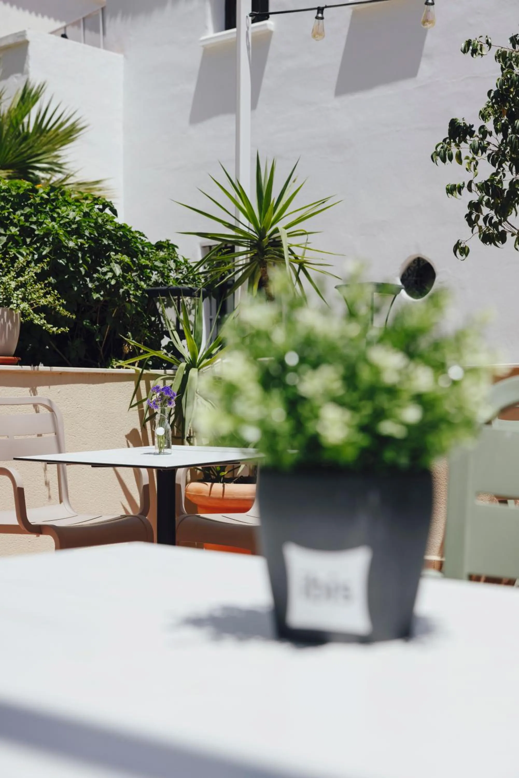 Balcony/Terrace in Ibis Sevilla