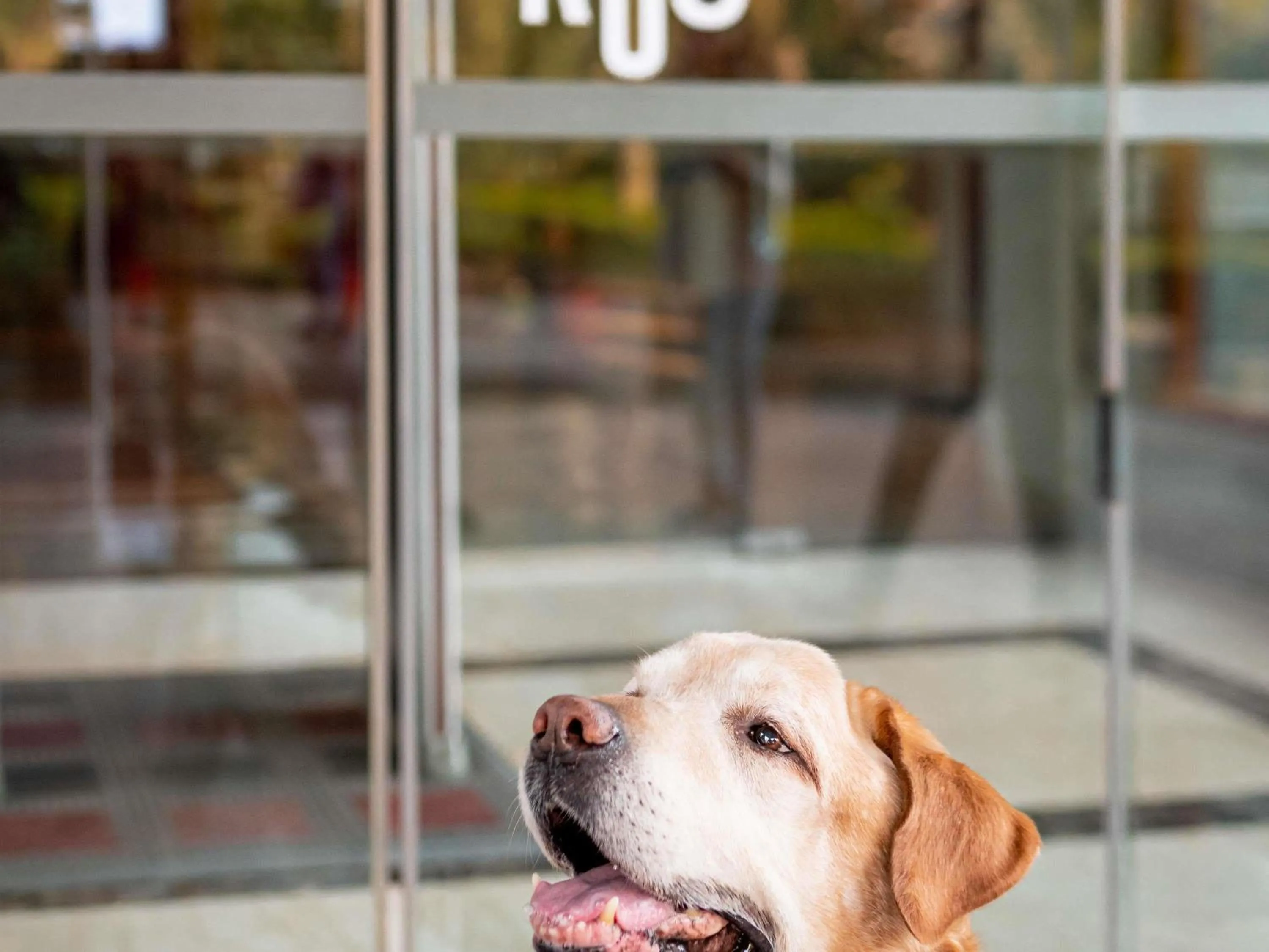 Bedroom in Ibis Sevilla