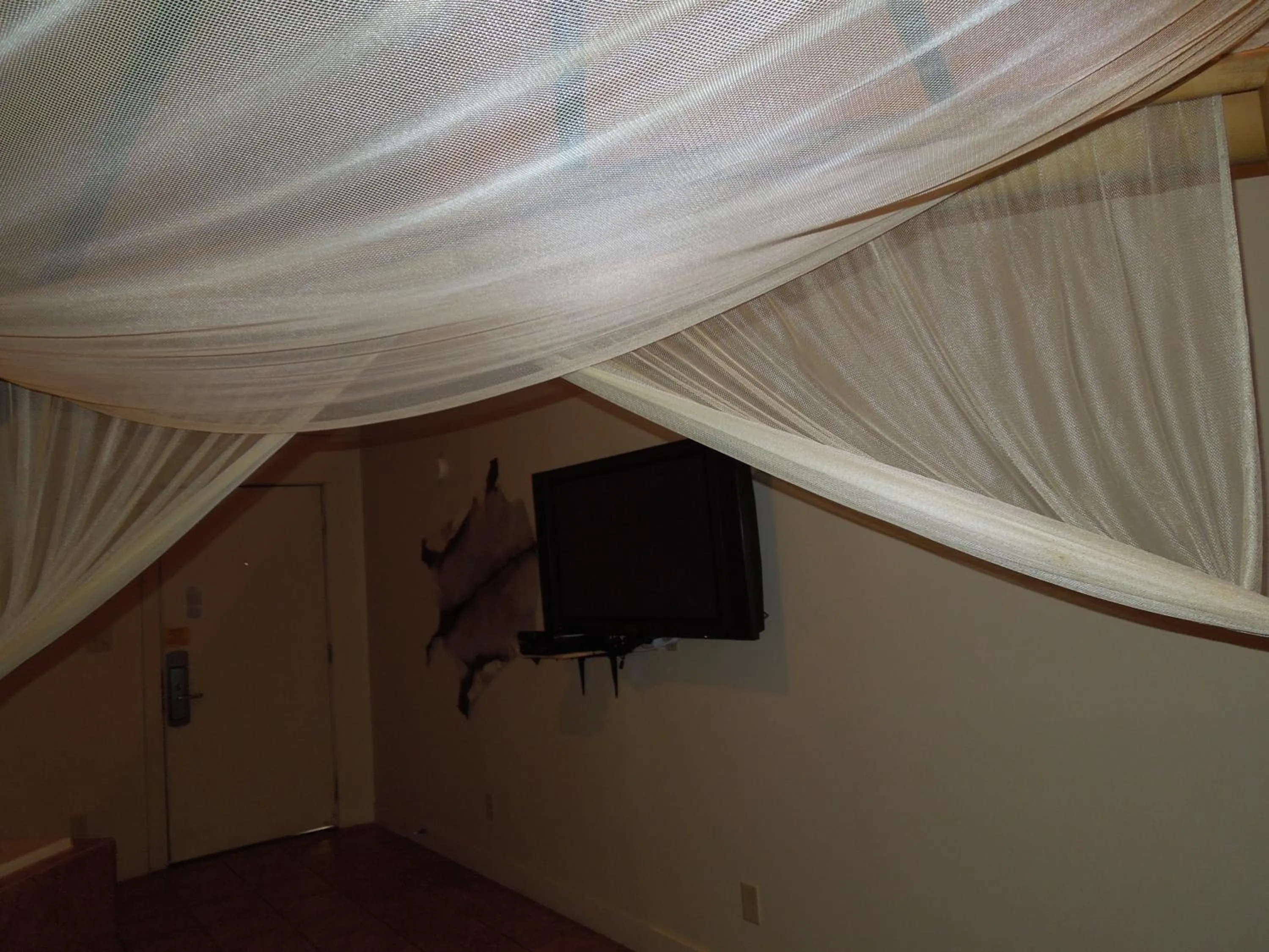 TV and multimedia in Wildwood Inn