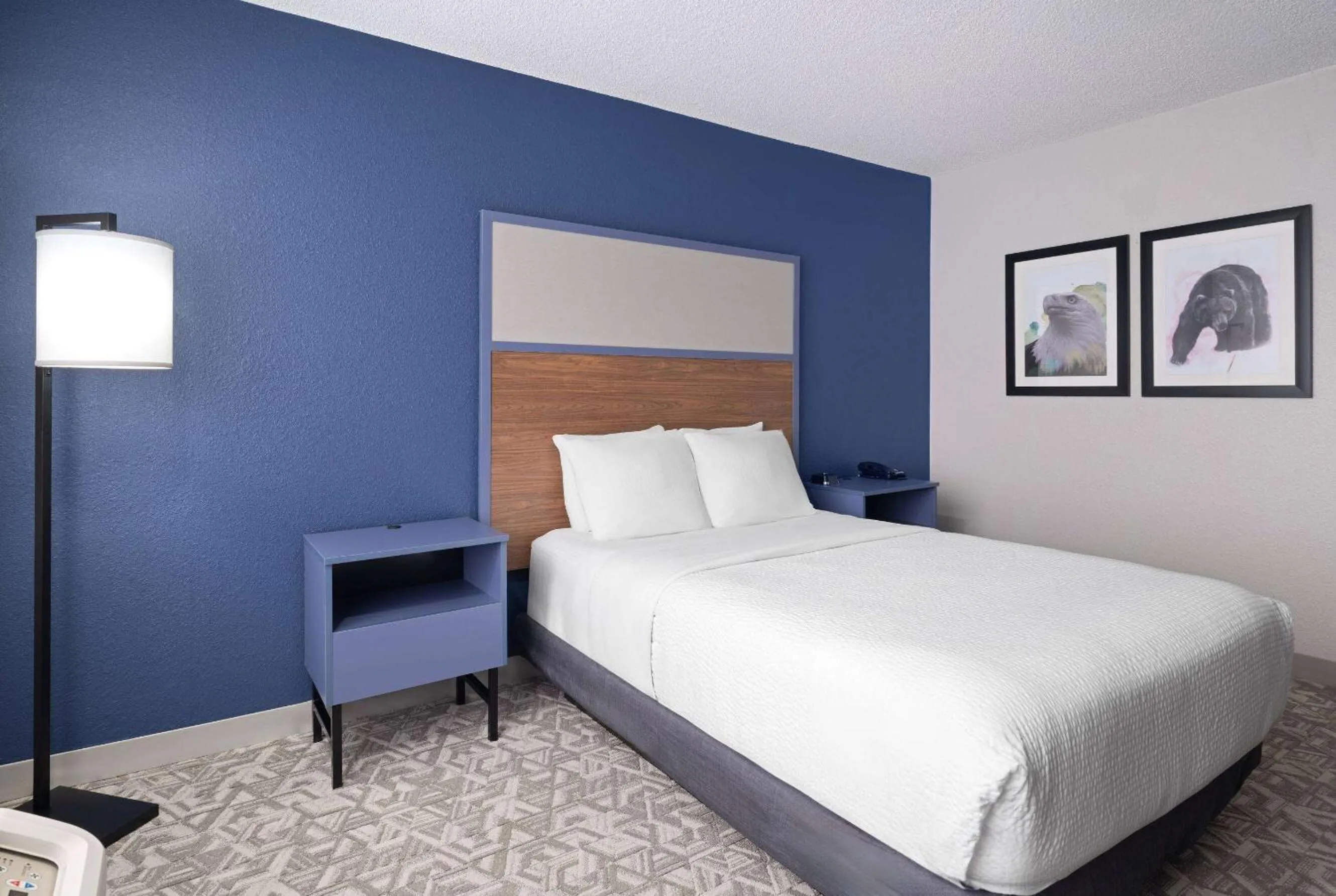 Photo of the whole room, Bed in AmericInn by Wyndham Casper Event Center Area