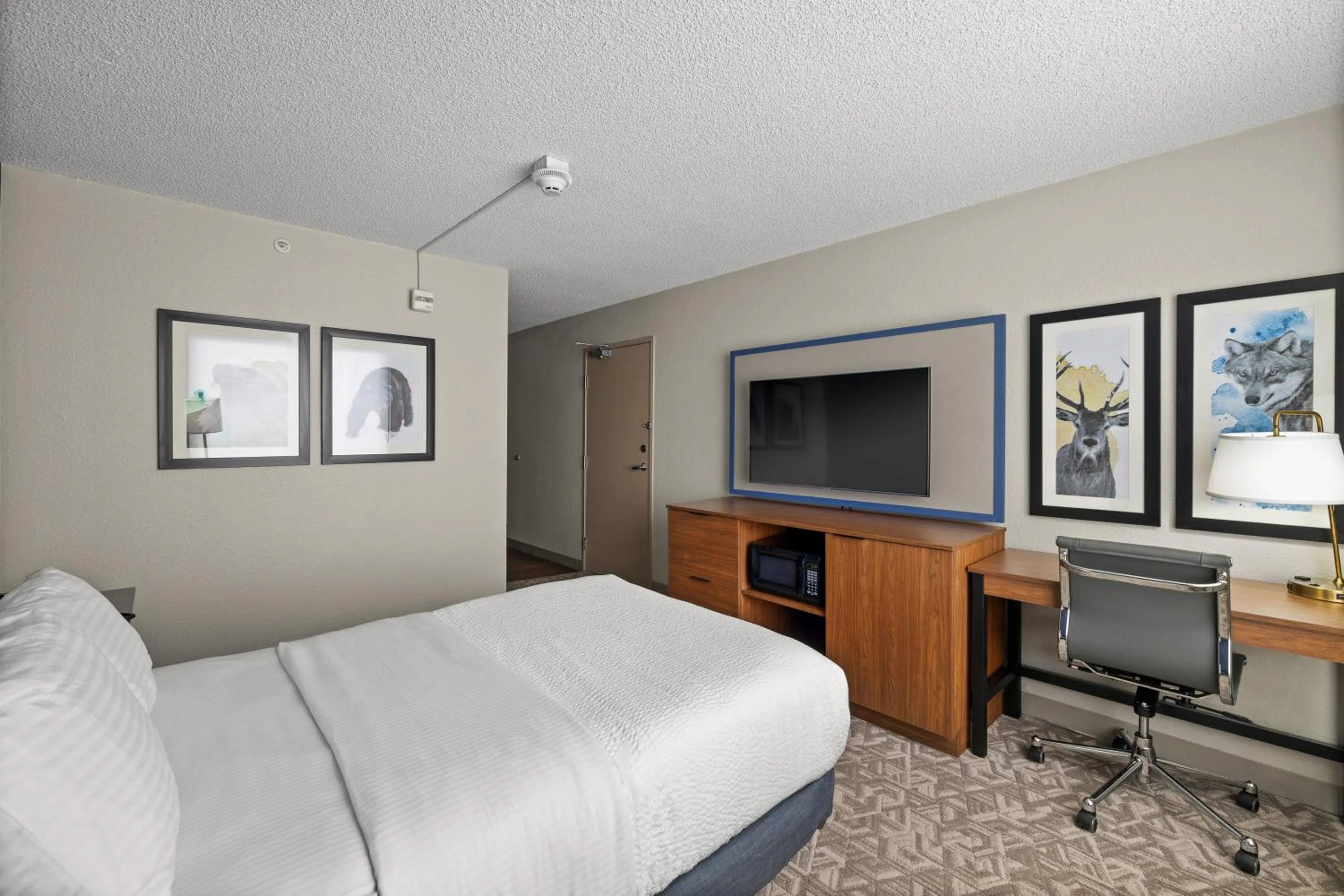 acessibility, Bed in AmericInn by Wyndham Casper Event Center Area