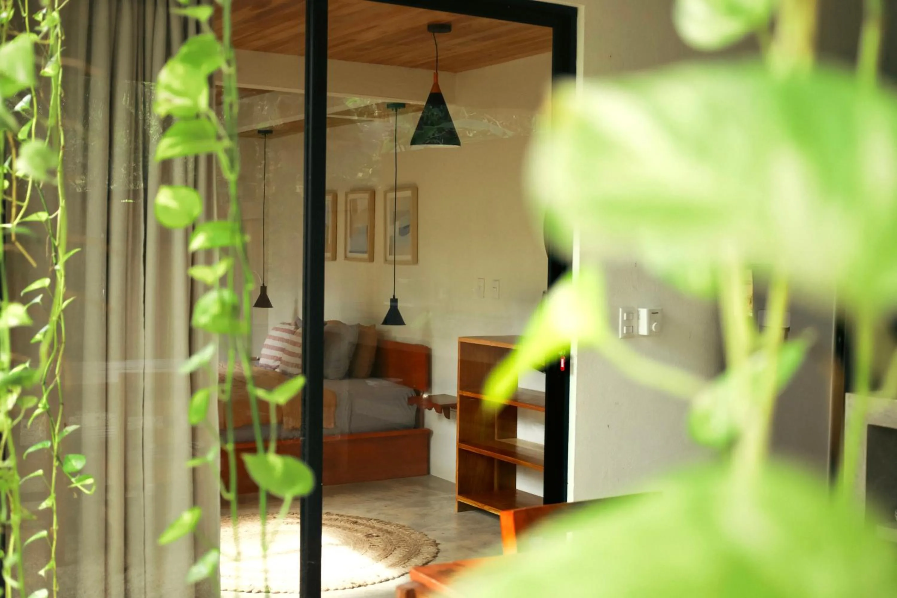 Deluxe Double Studio - single occupancy in Zeneidas Surf Garden