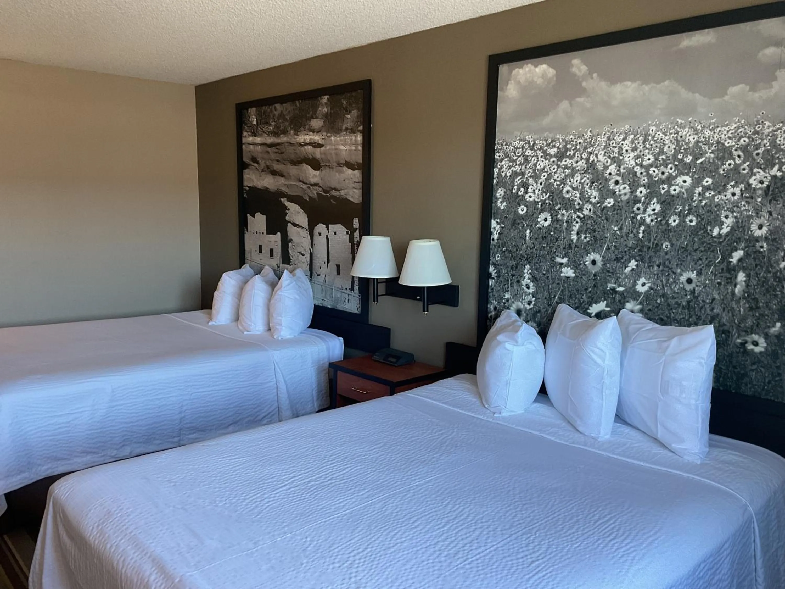 Bed in Super 8 by Wyndham Colorado Springs Airport