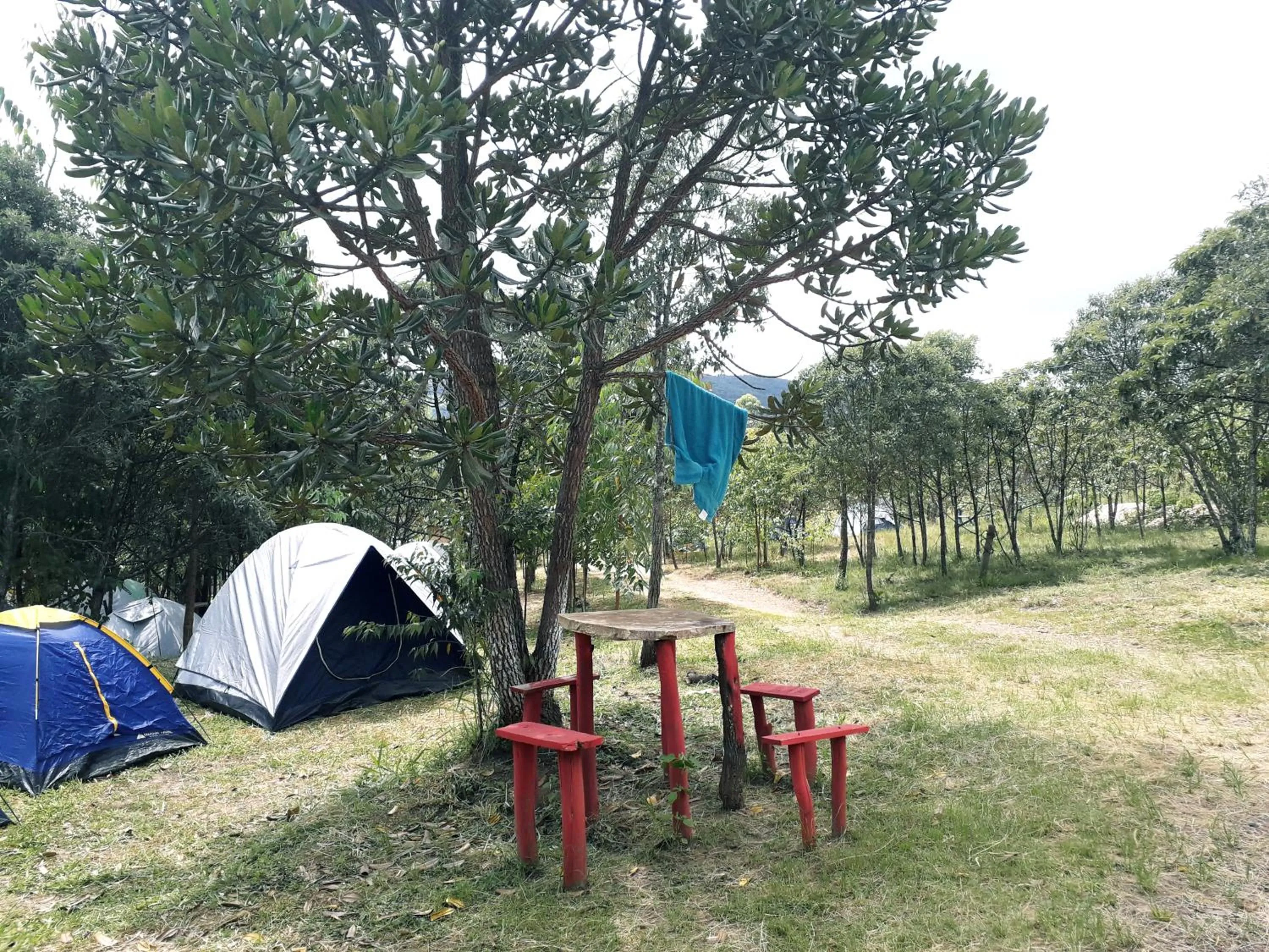 Camping Avohai