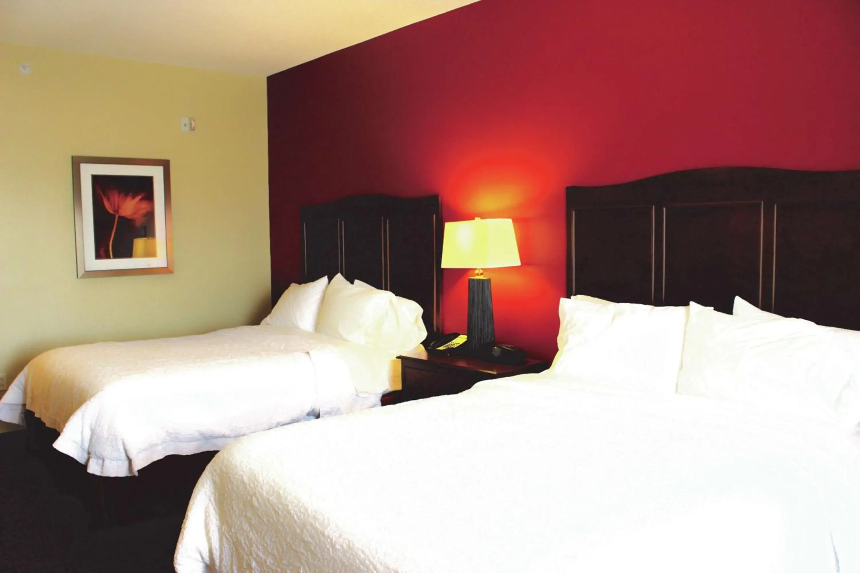 Room with Two Queen Beds - Non-Smoking in Hampton Inn & Suites McAllen Room with Two Queen Beds - Non-Smoking in Hampton Inn & Suites McAllen