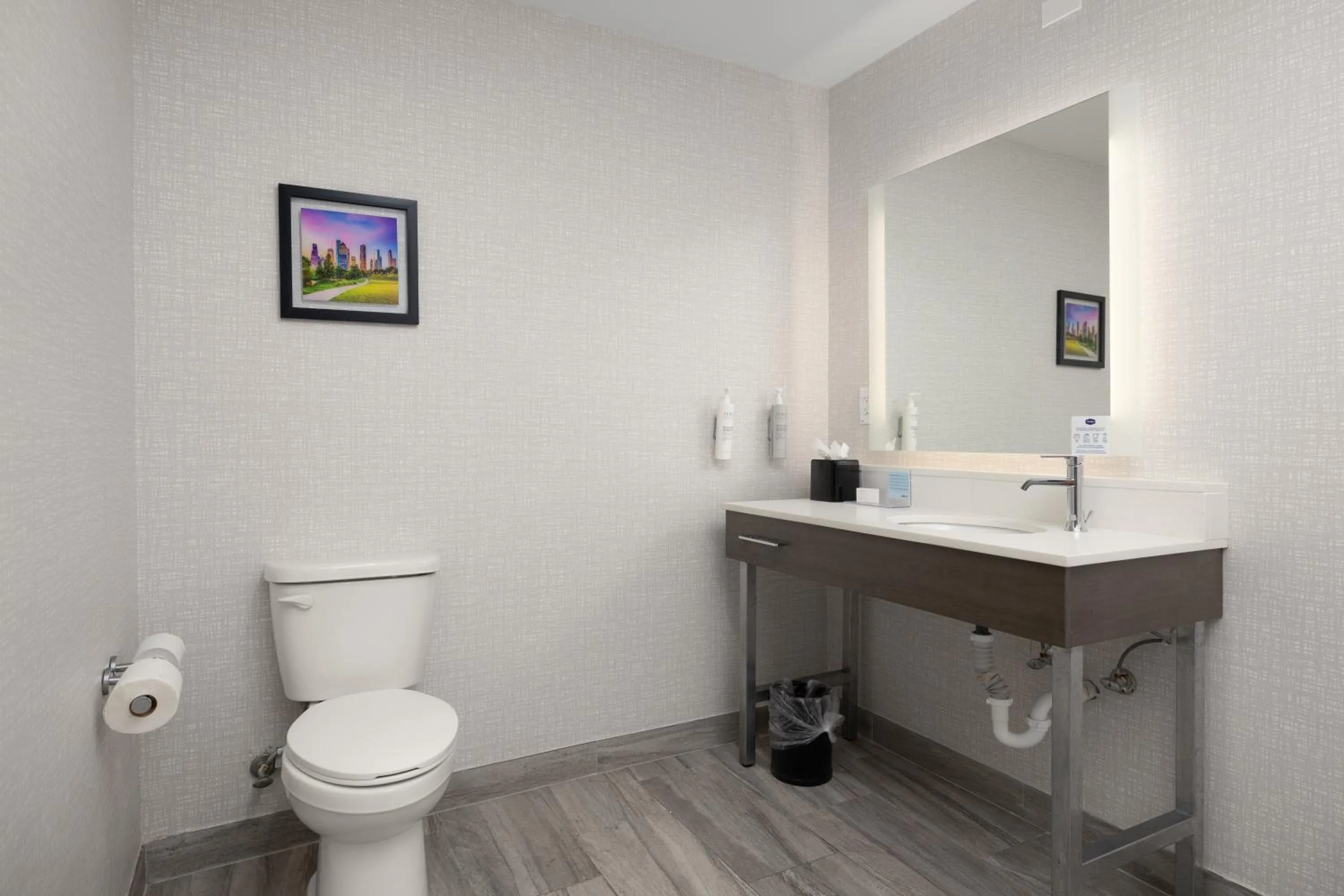 Toilet in Hampton Inn & Suites McAllen