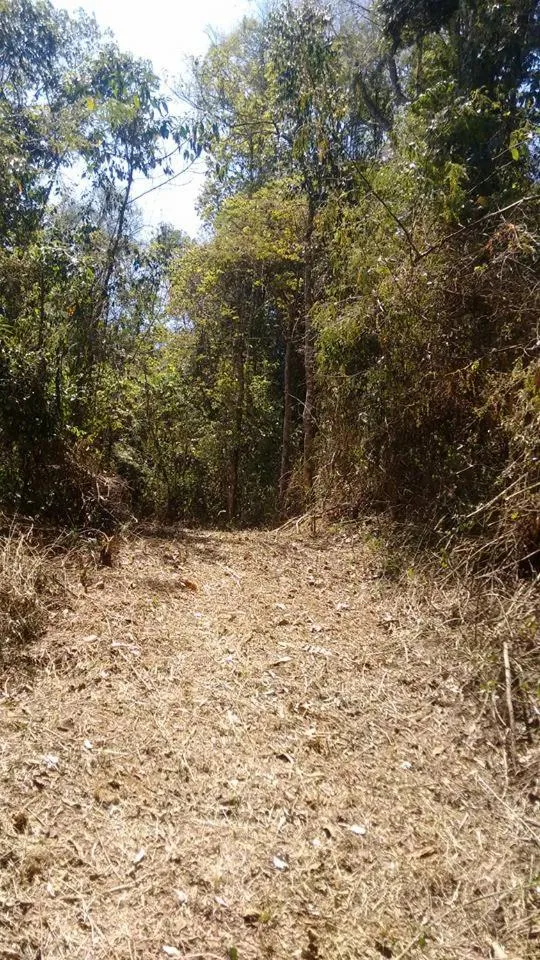 Natural landscape in Hotel Fazenda Sao Sebastiao