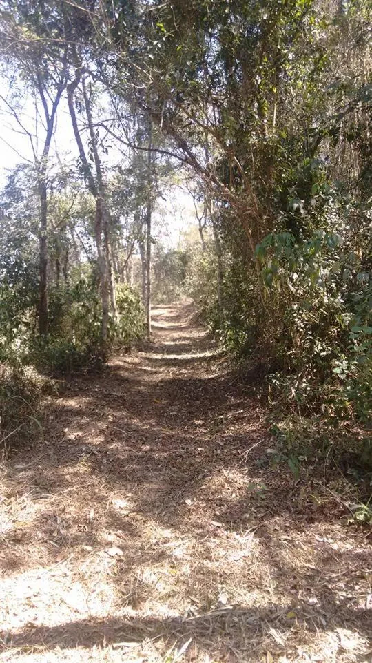 Natural landscape in Hotel Fazenda Sao Sebastiao