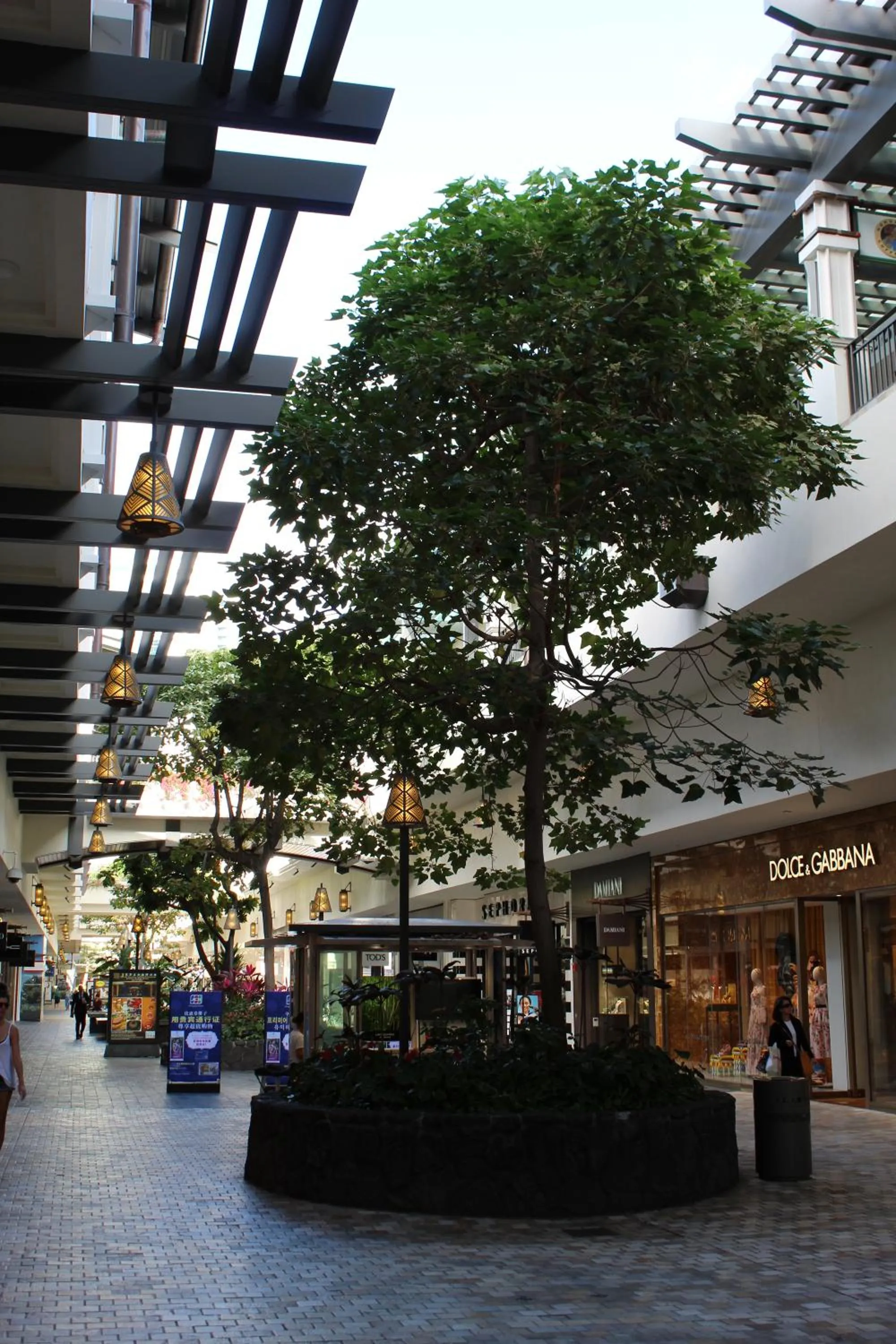 Shopping Area in LSI Resorts at Ala Moana