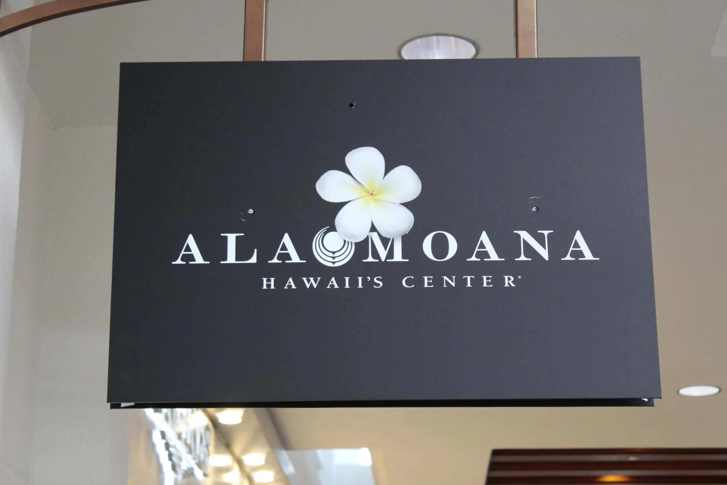 Shopping Area in LSI Resorts at Ala Moana
