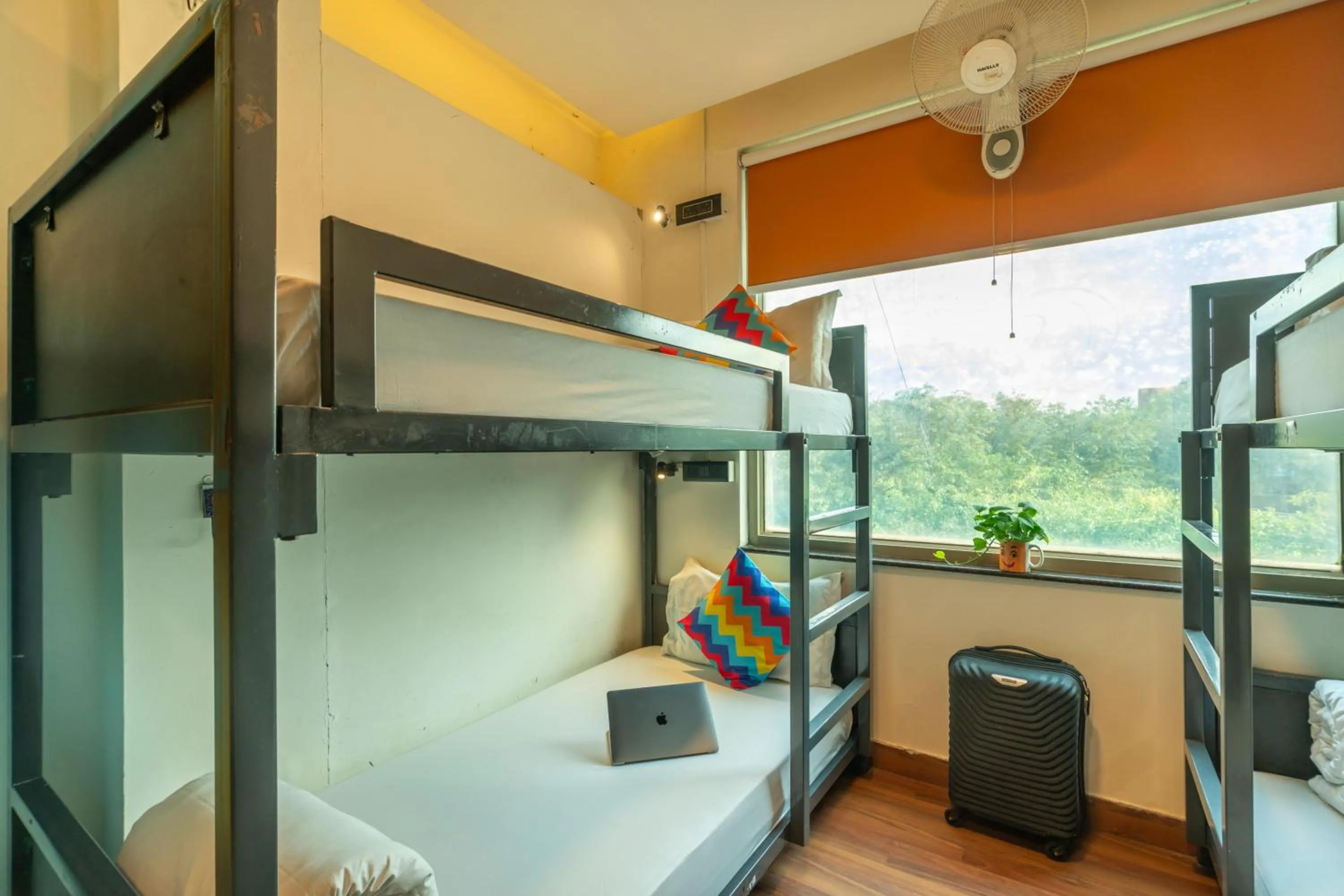 bunk bed, Bed in goSTOPS Delhi