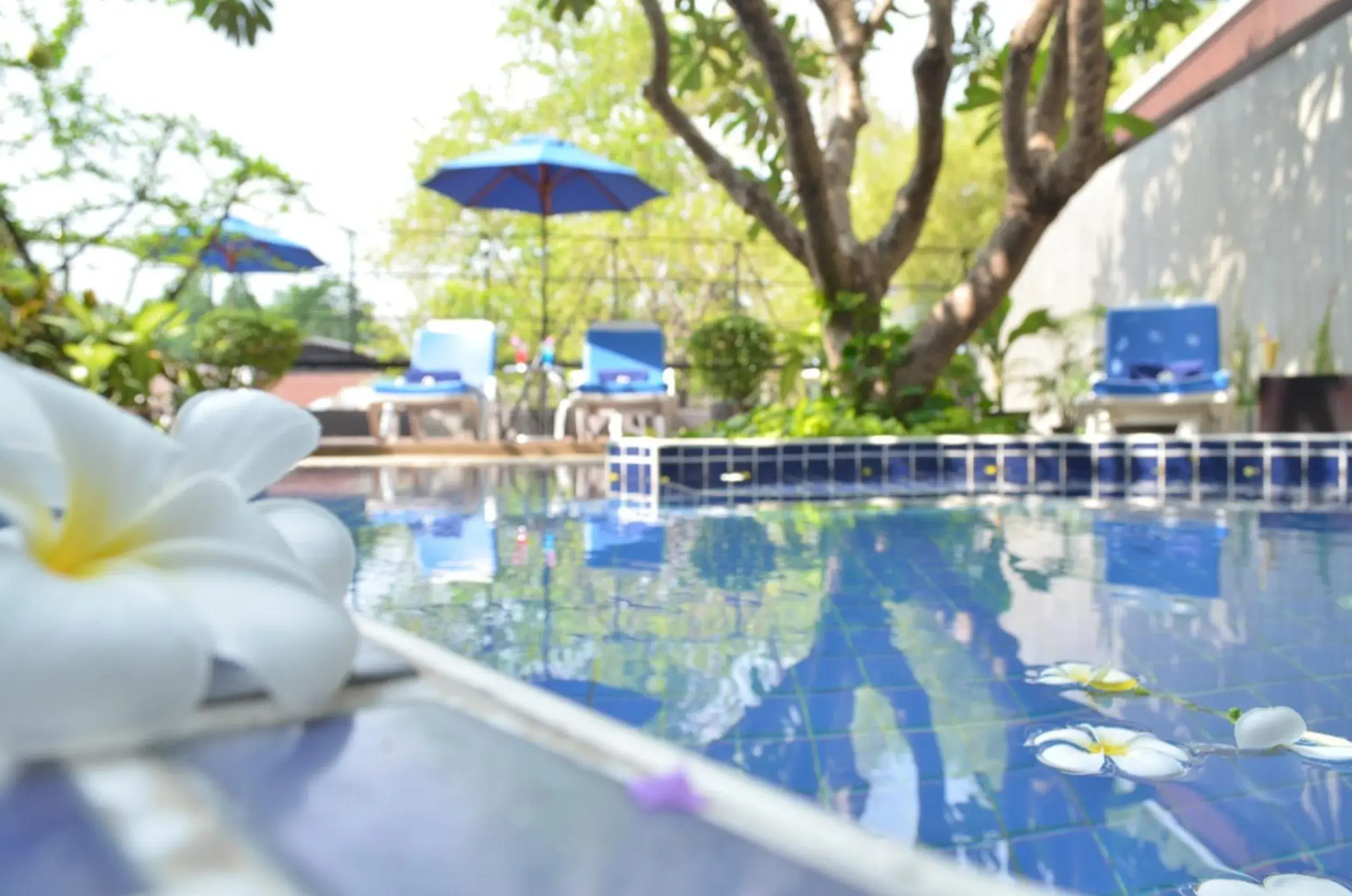 Swimming pool in Anya Nana at Sukhumvit Bangkok Swimming pool in Anya Nana at Sukhumvit Bangkok