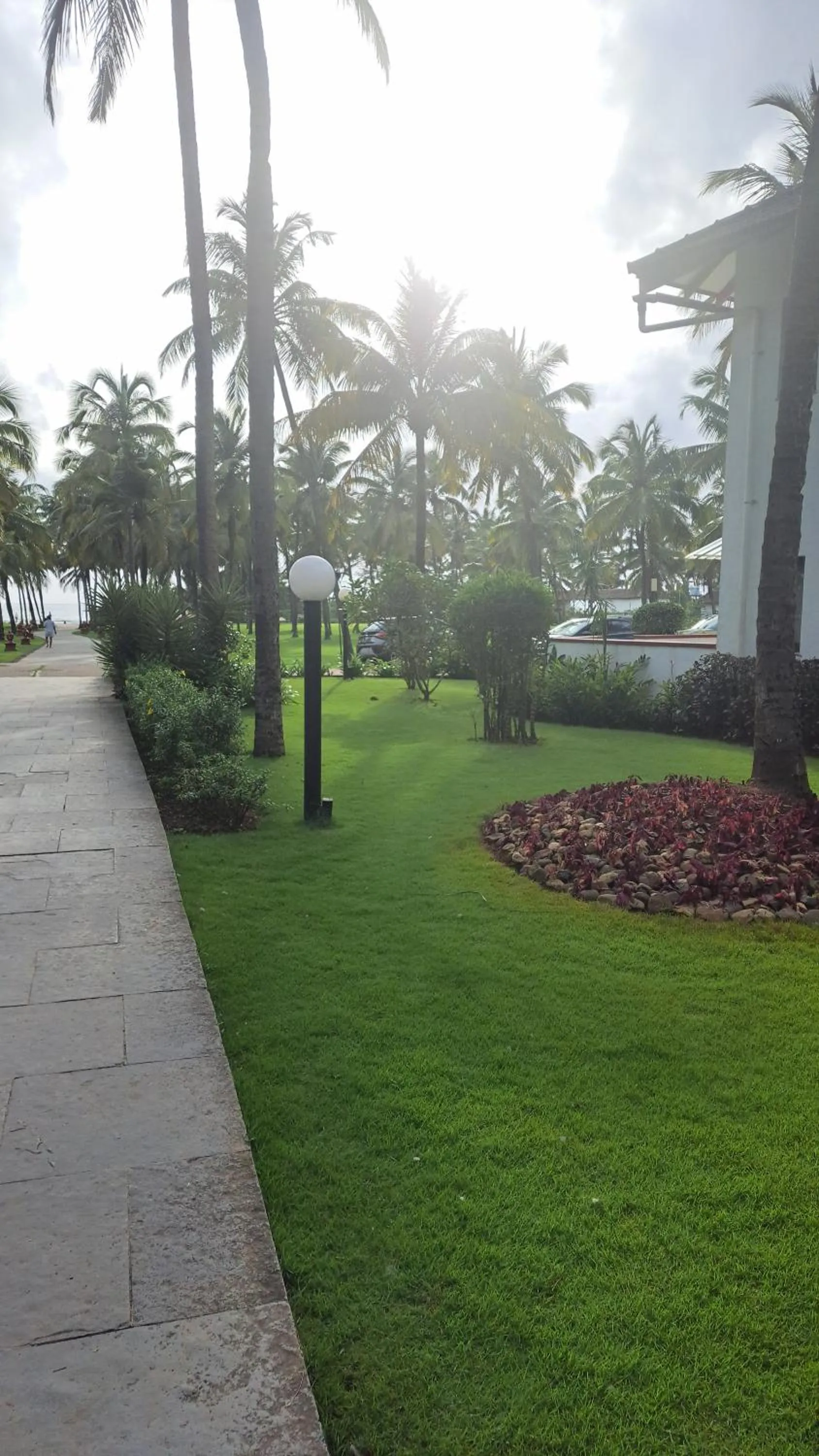 Natural landscape in Novotel Goa Dona Sylvia Resort