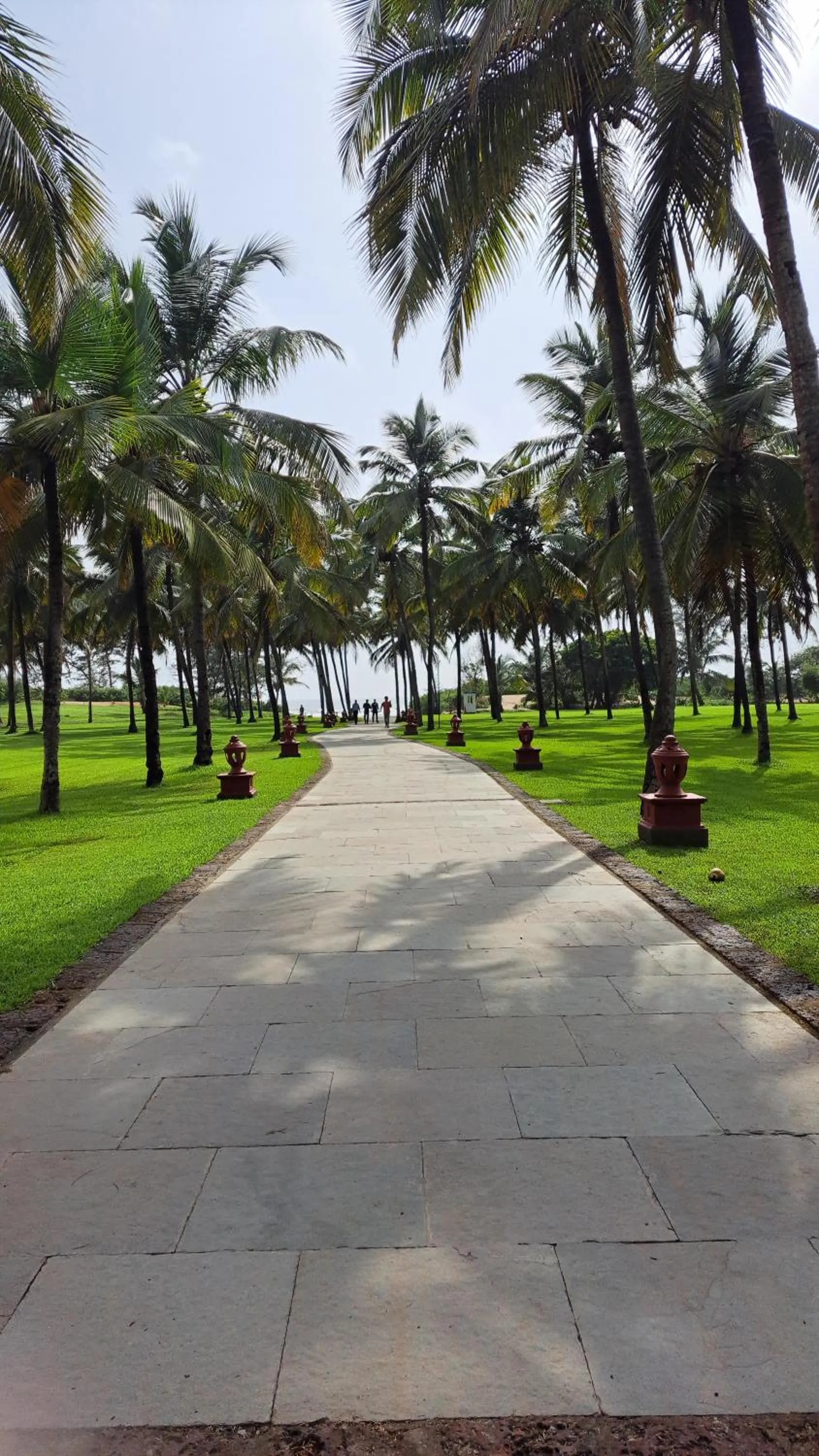 Beach in Novotel Goa Dona Sylvia Resort
