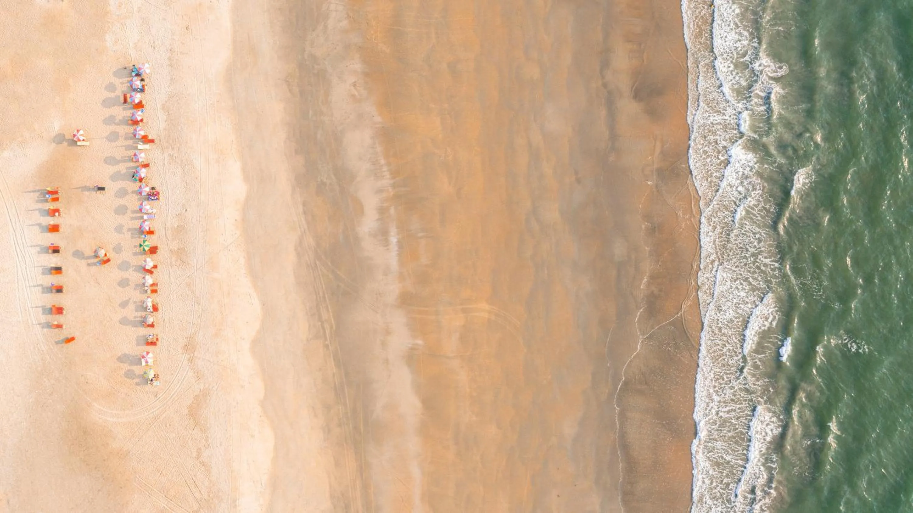 Beach in Novotel Goa Dona Sylvia Resort