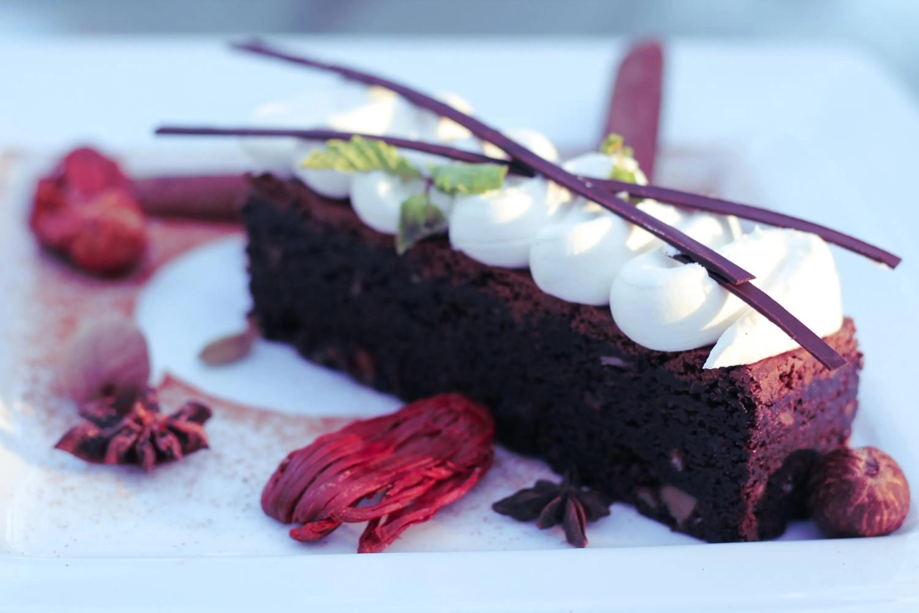 Food close-up in Novotel Goa Dona Sylvia Resort