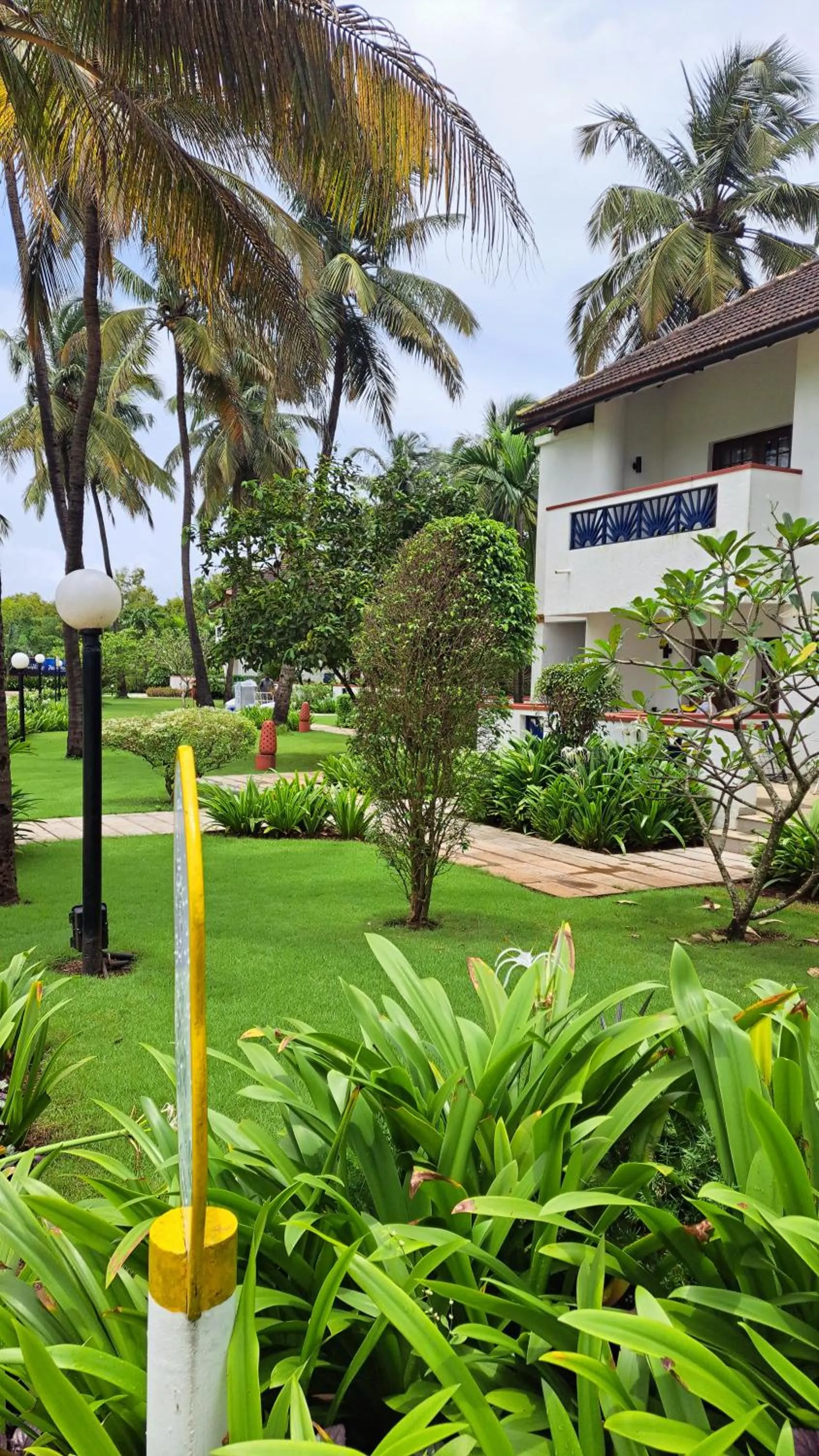 Natural landscape in Novotel Goa Dona Sylvia Resort