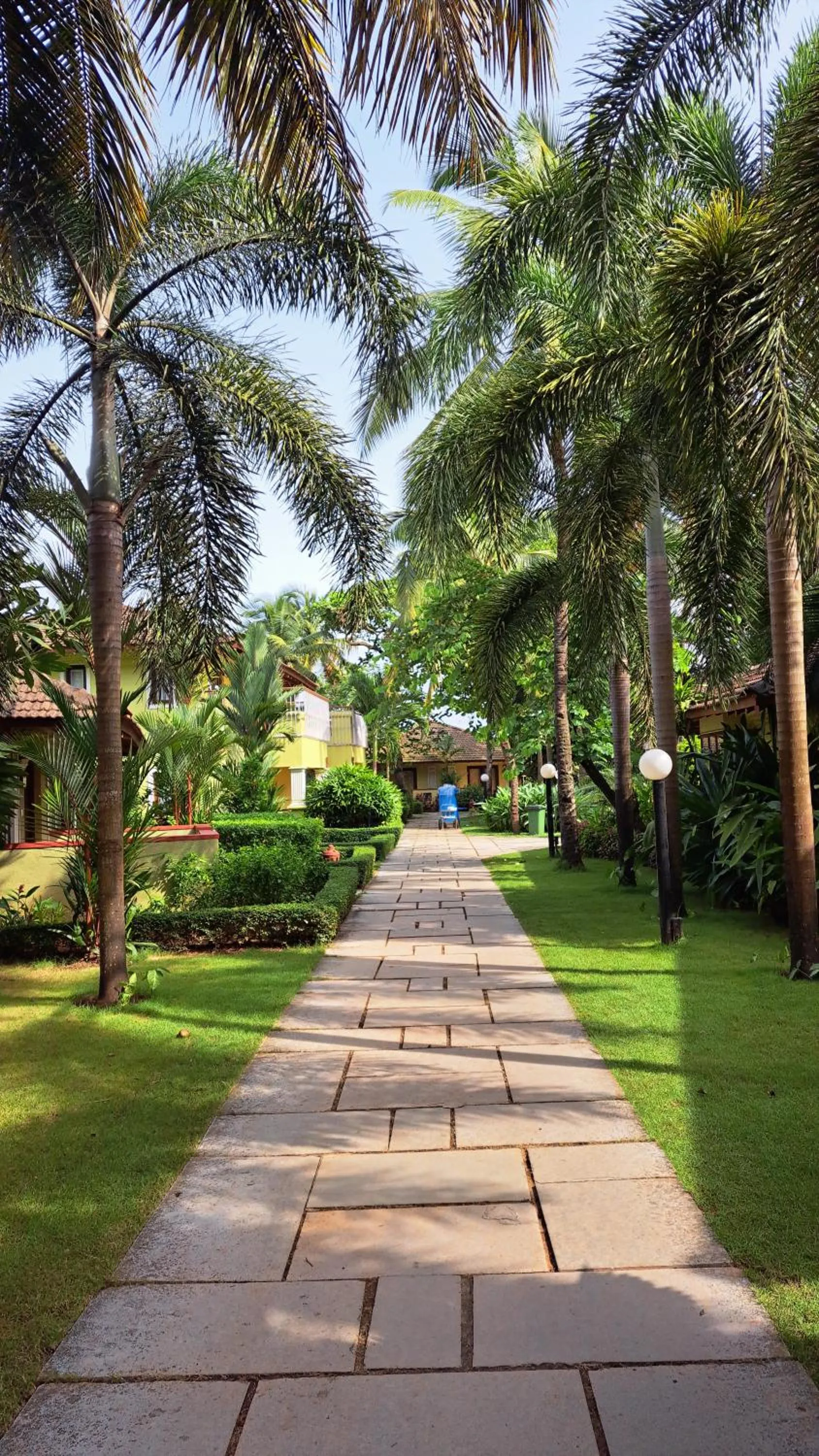 Garden in Novotel Goa Dona Sylvia Resort