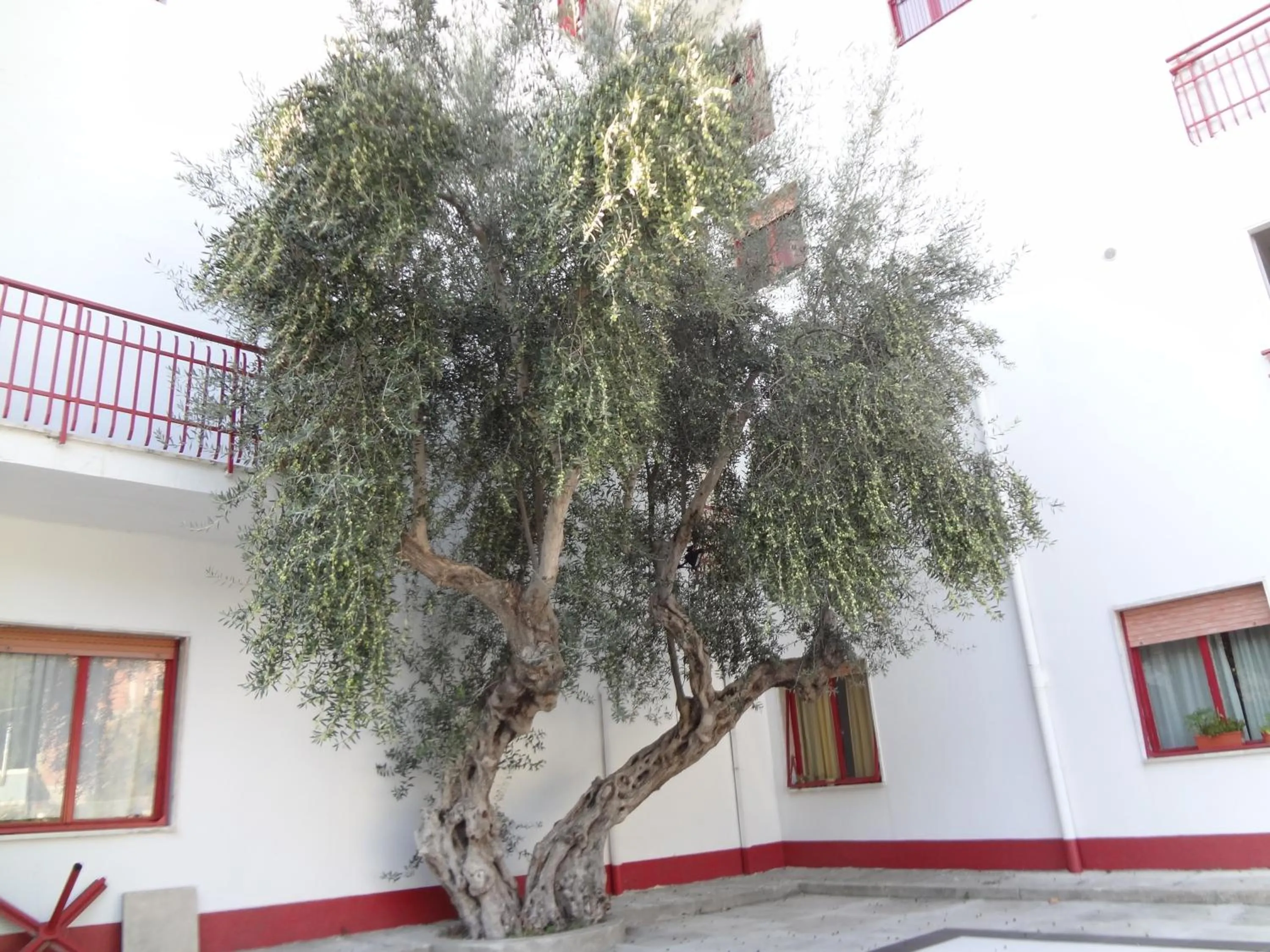 Property building in Luigiane B&B