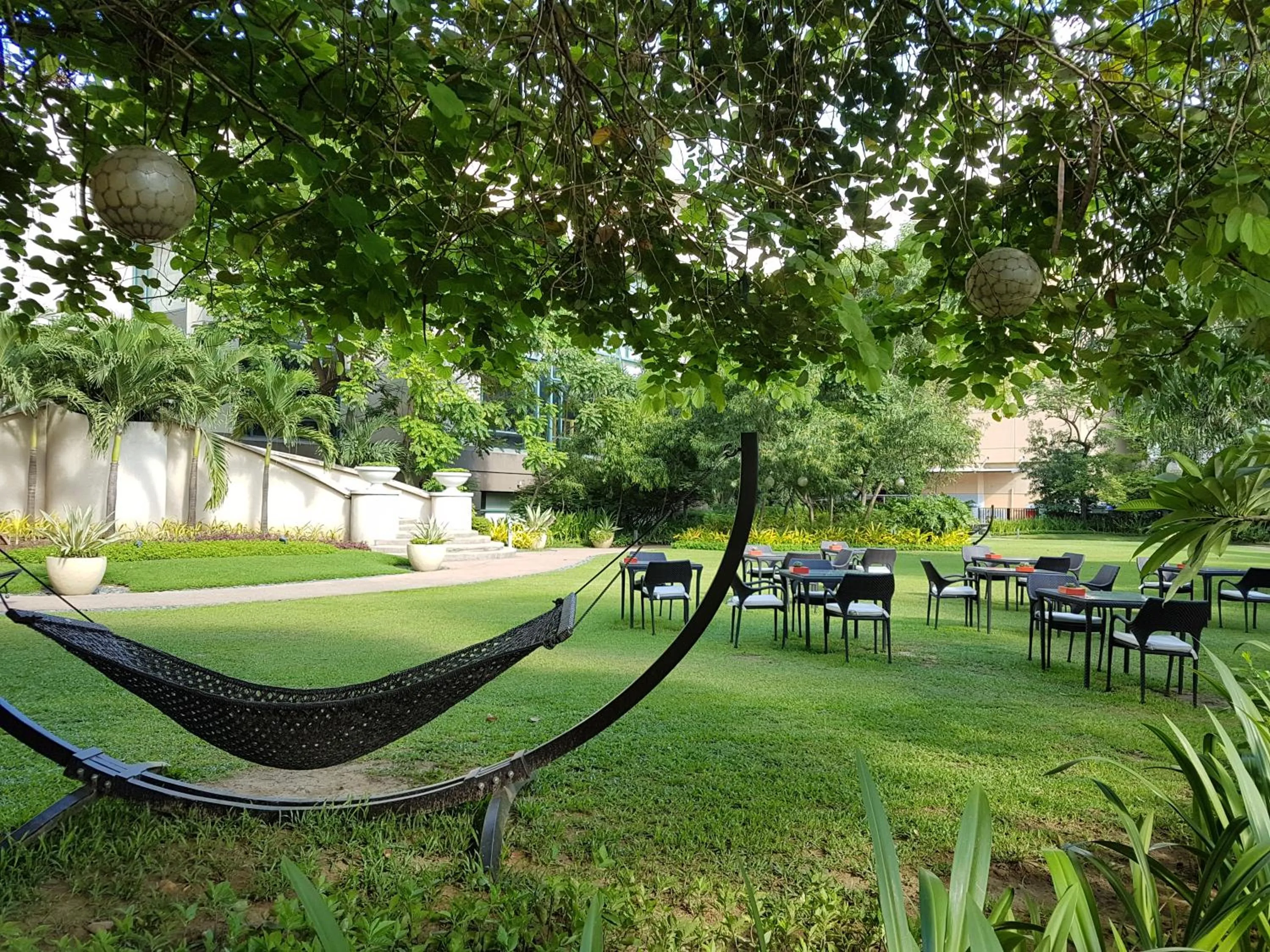 Restaurant/places to eat in Radisson Blu Cebu