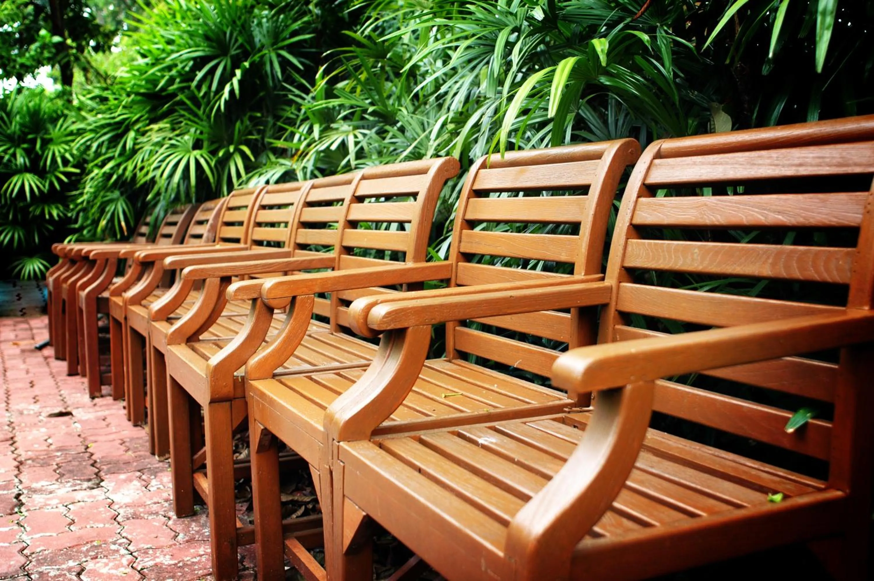 Garden in Sugar Hut Resort & Restaurant