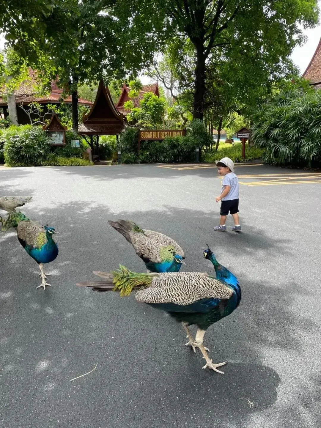 Sugar Hut Resort & Restaurant Sugar Hut Resort & Restaurant