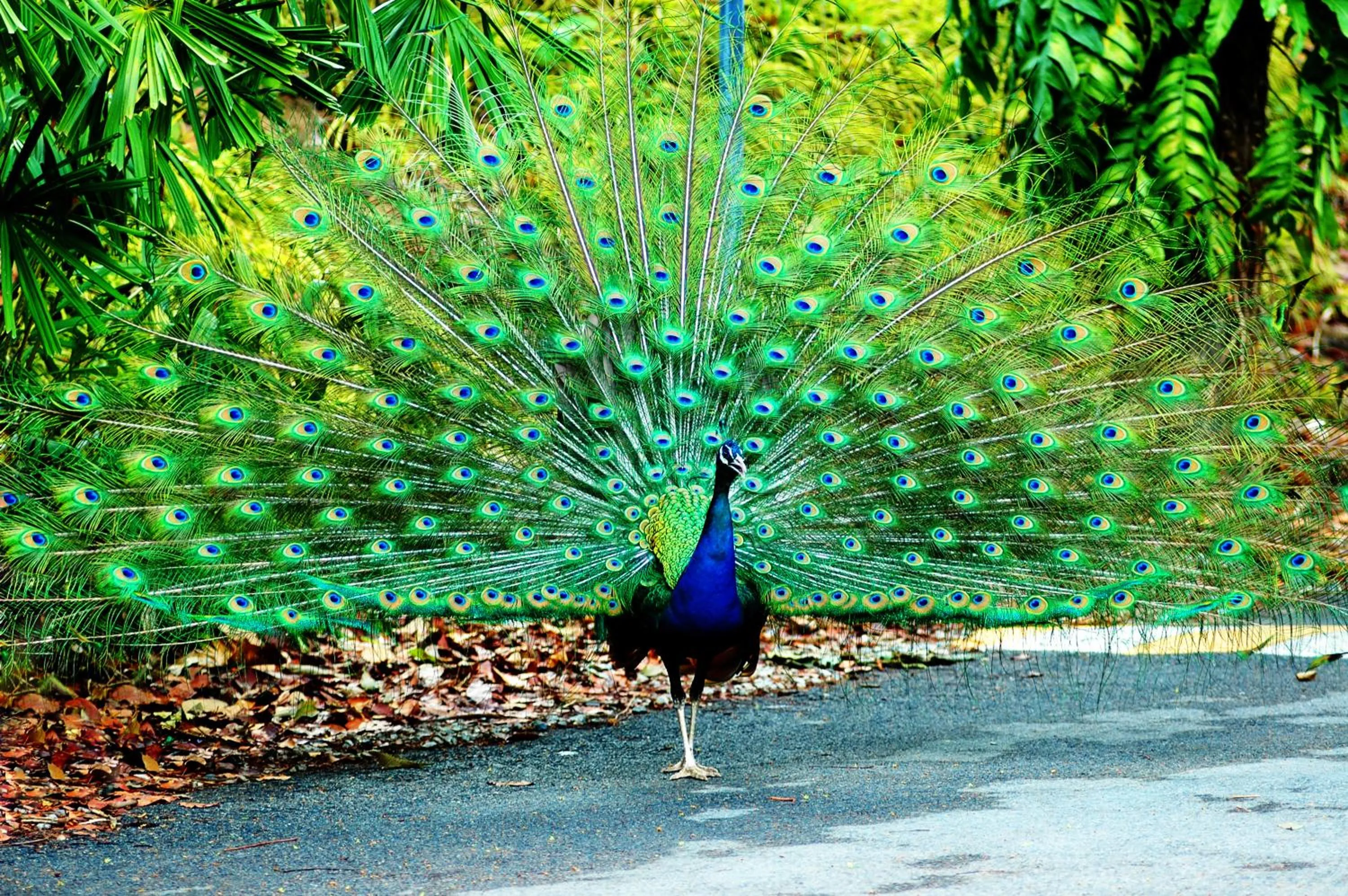 On site in Sugar Hut Resort & Restaurant