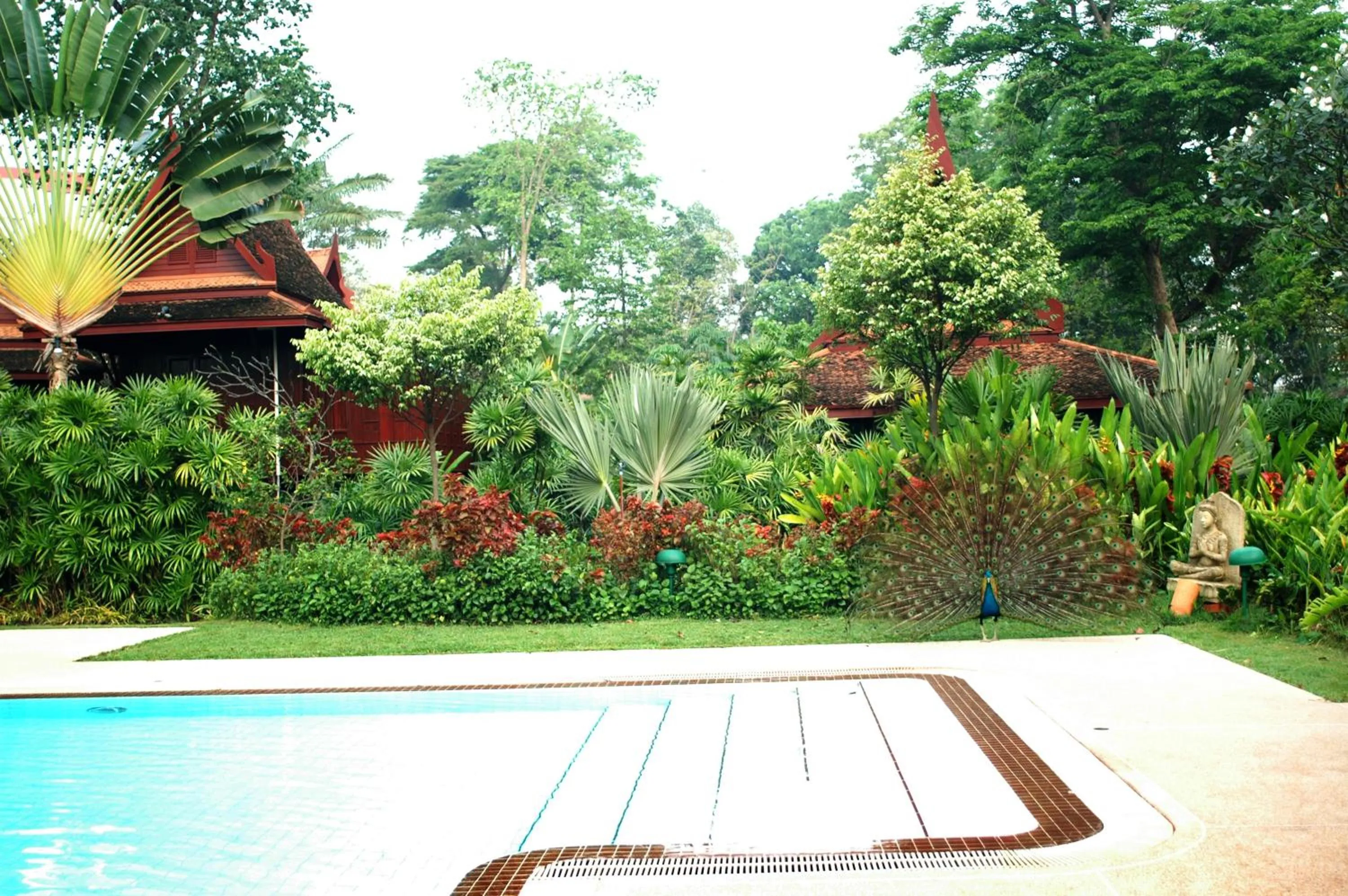 Swimming pool in Sugar Hut Resort & Restaurant