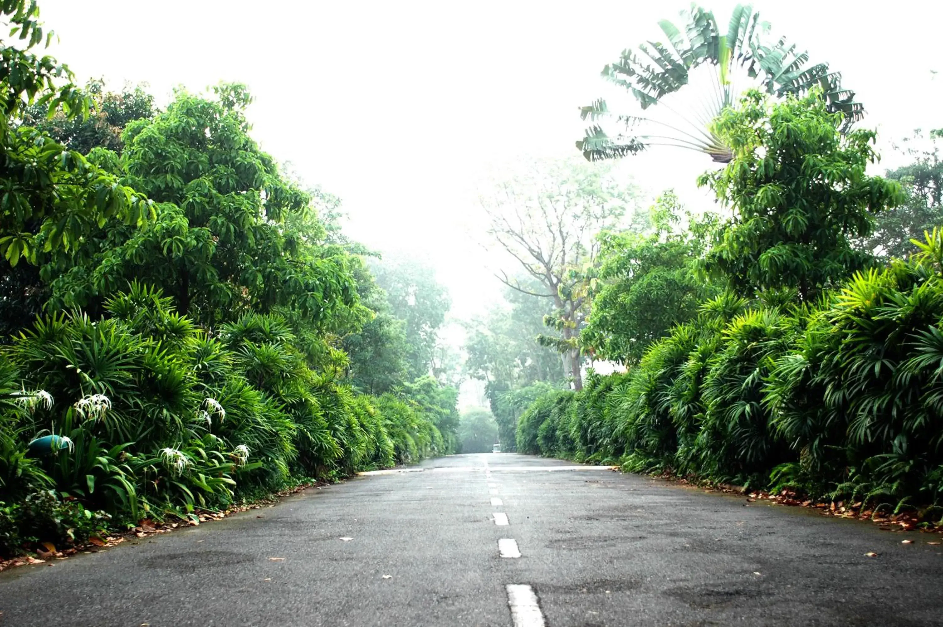 Facade/entrance in Sugar Hut Resort & Restaurant Facade/entrance in Sugar Hut Resort & Restaurant