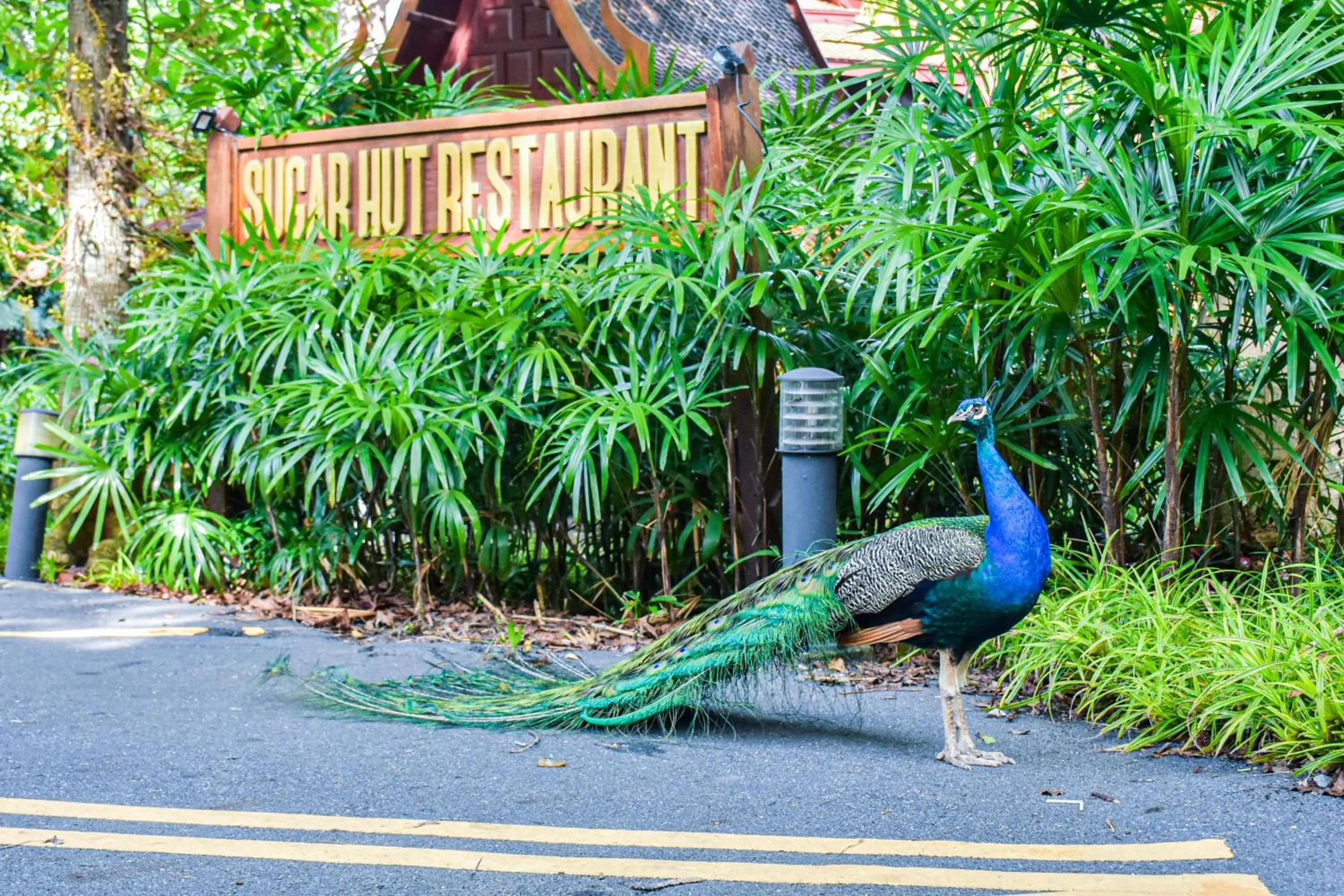 Sugar Hut Resort & Restaurant