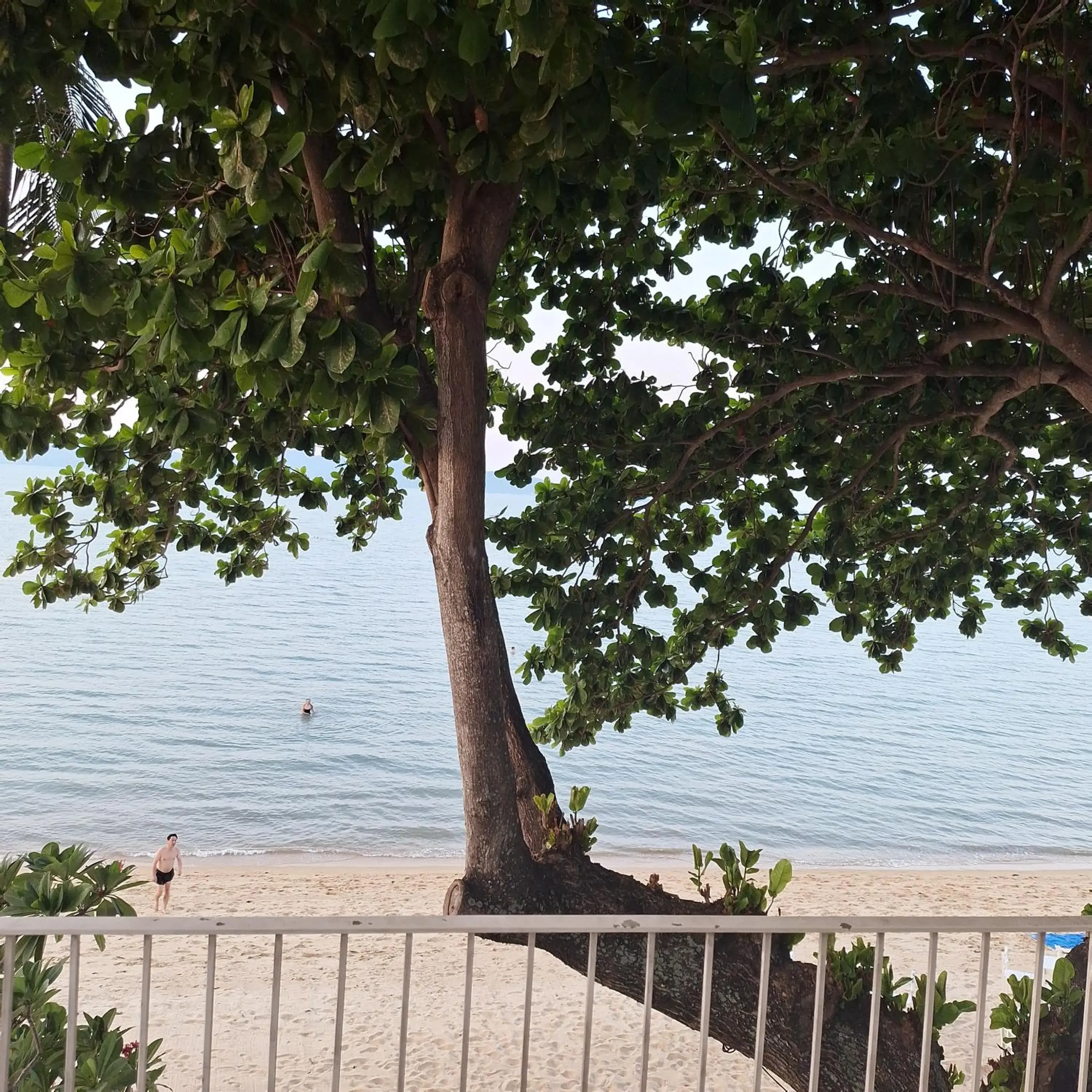 Sea view in Baanfah Resort Samui Sea view in Baanfah Resort Samui