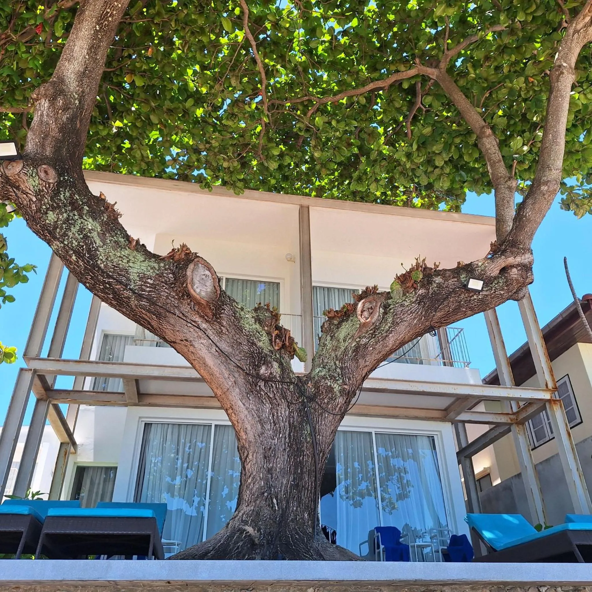 View (from property/room) in Baanfah Resort Samui