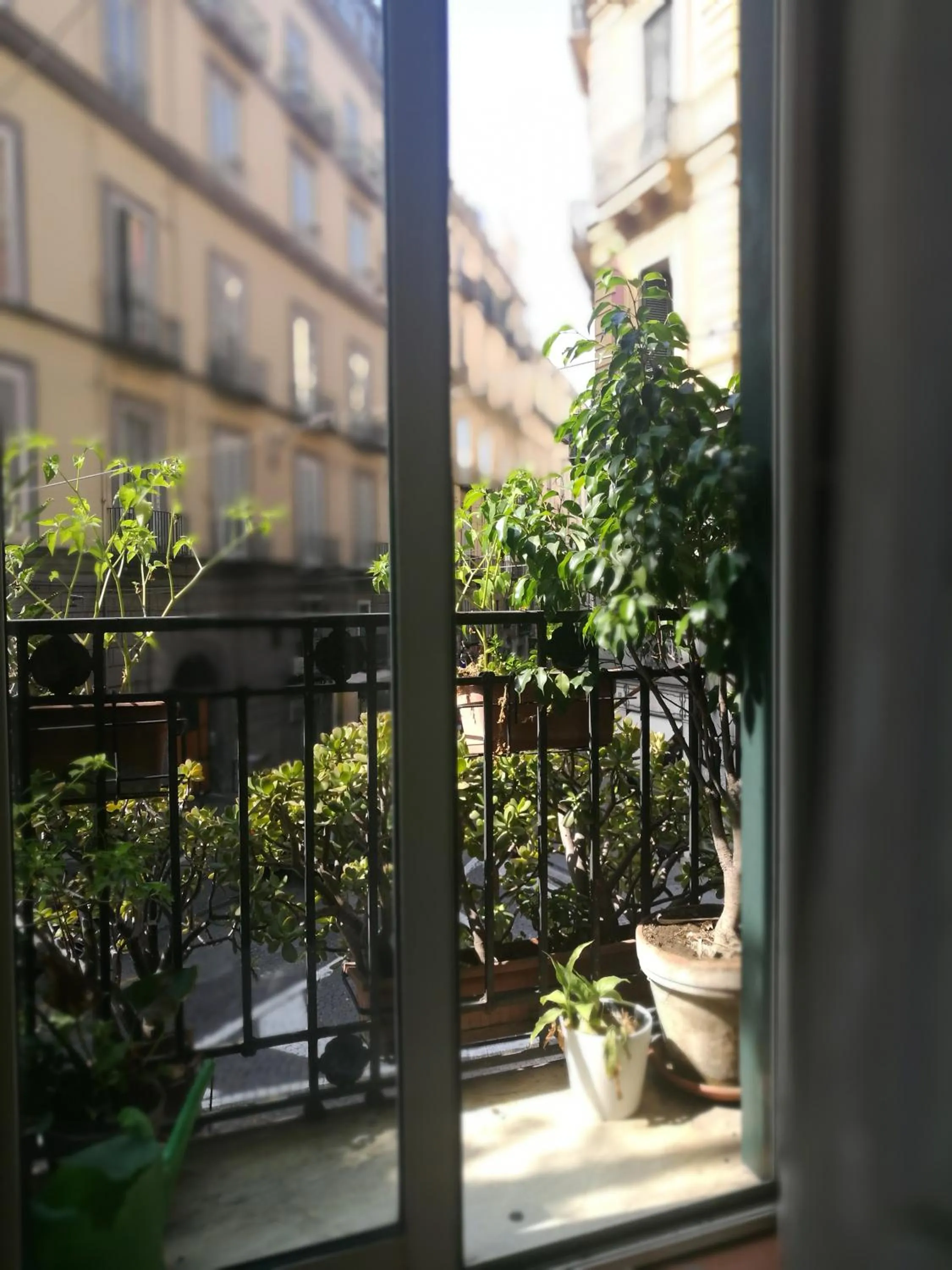 Balcony/Terrace in Bed morelli 49 , chiaia