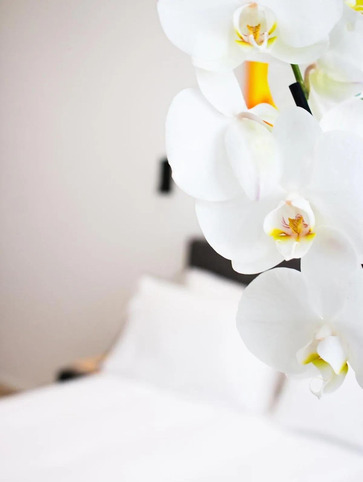 Decorative detail, Bed in Fiorentini Residence NAPOLI