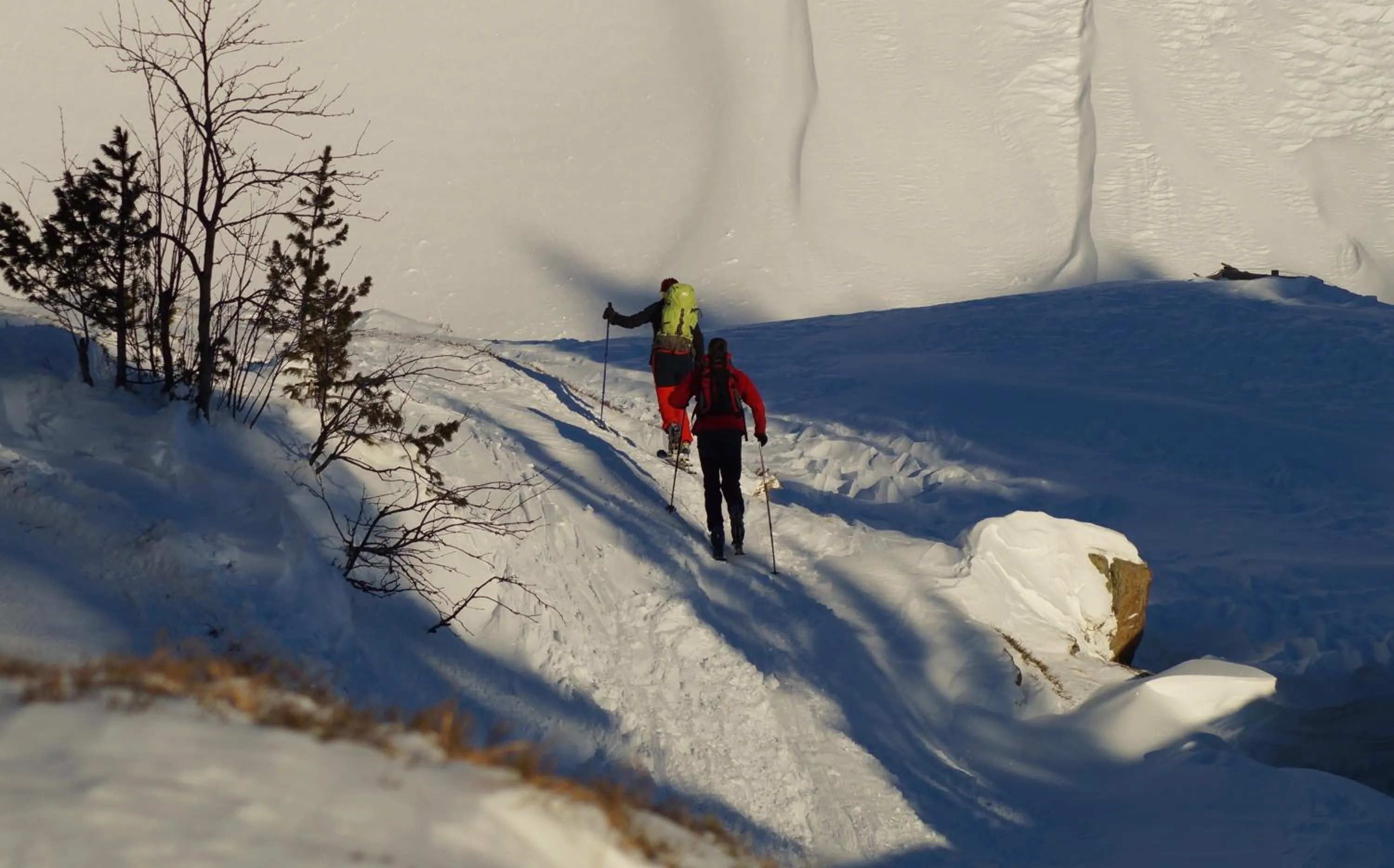 Natural landscape in Hotel Bergkristall