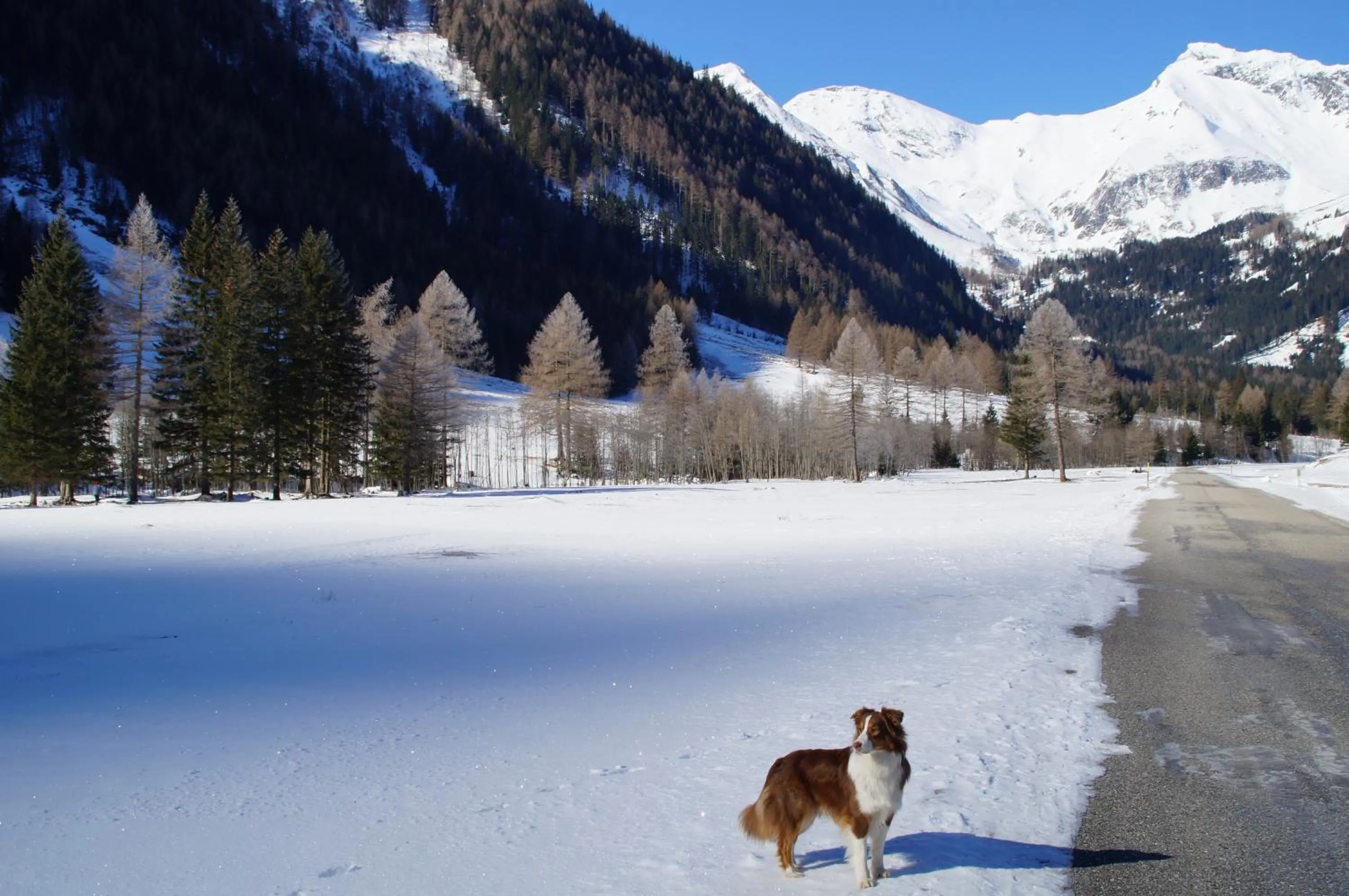 Day in Hotel Bergkristall