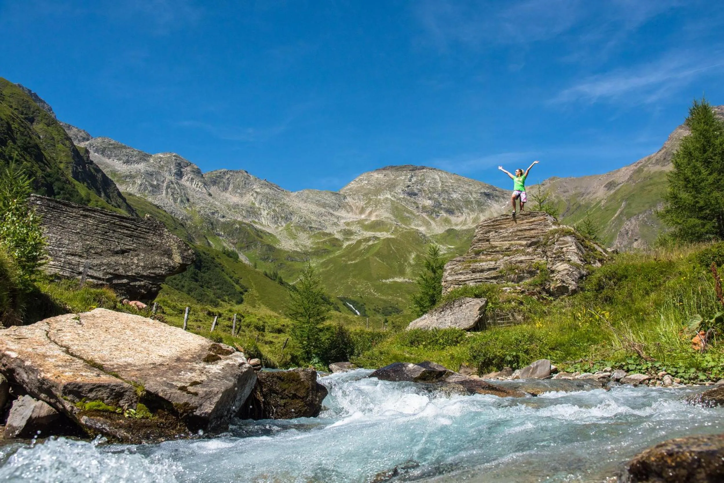 Natural landscape in Hotel Bergkristall