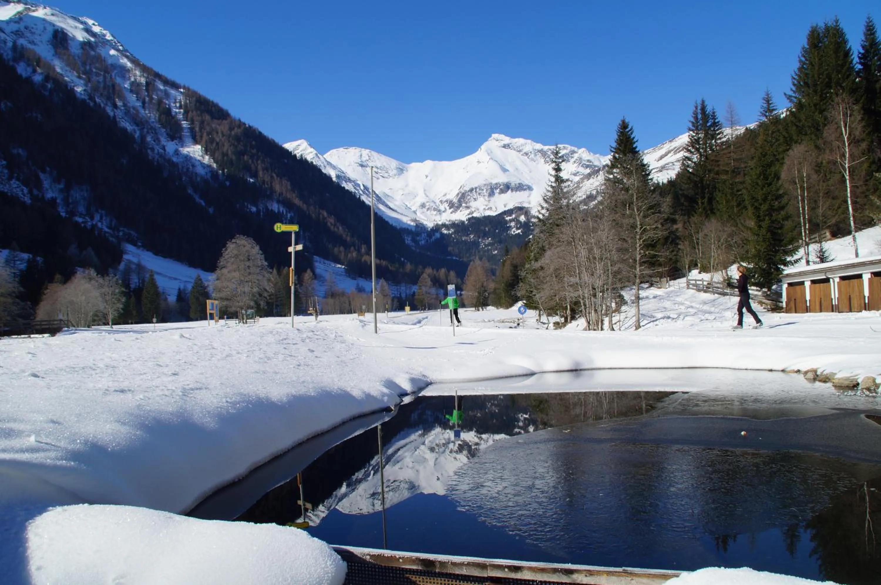Natural landscape in Hotel Bergkristall