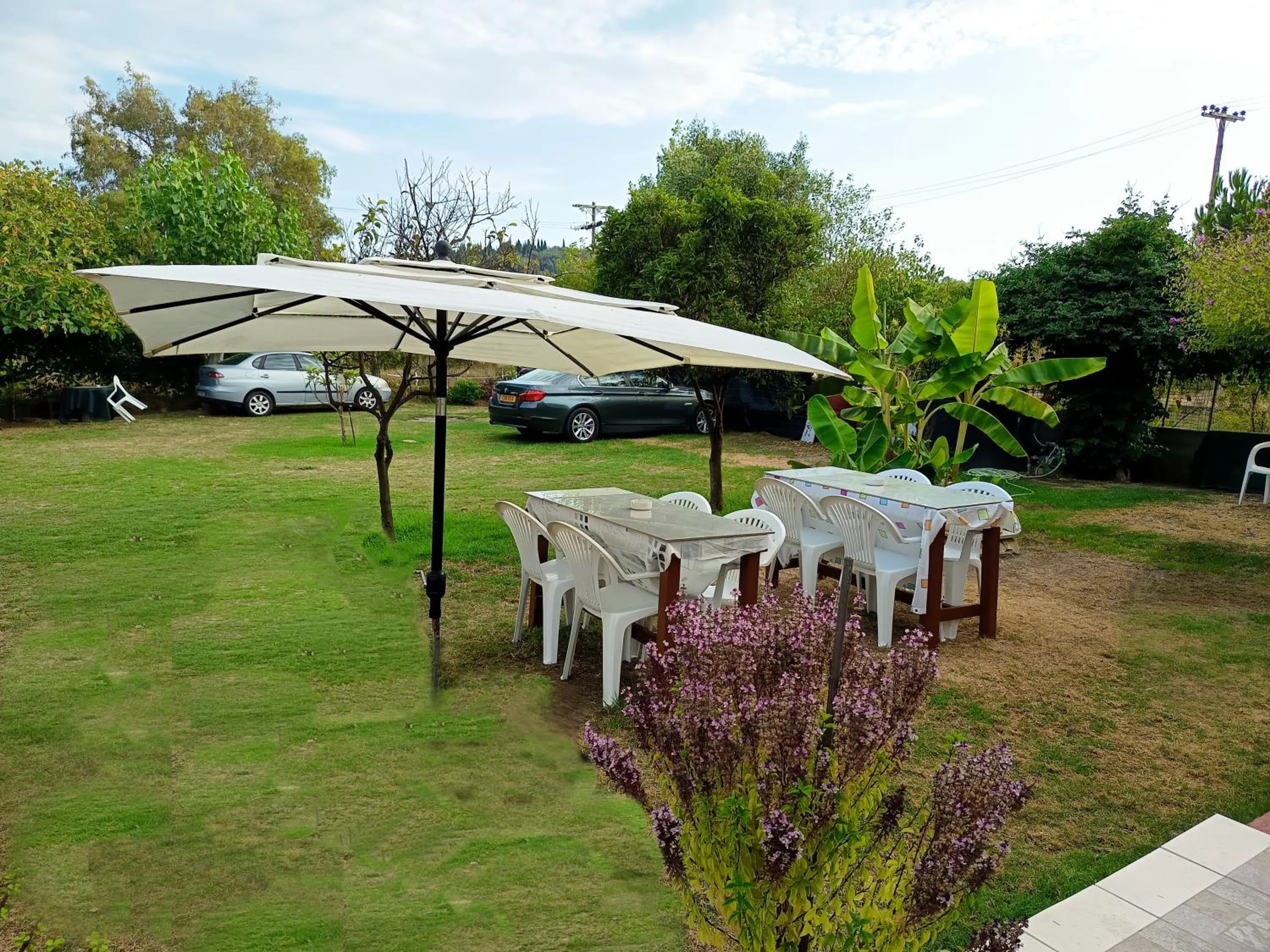 Garden in Toula's Apartments