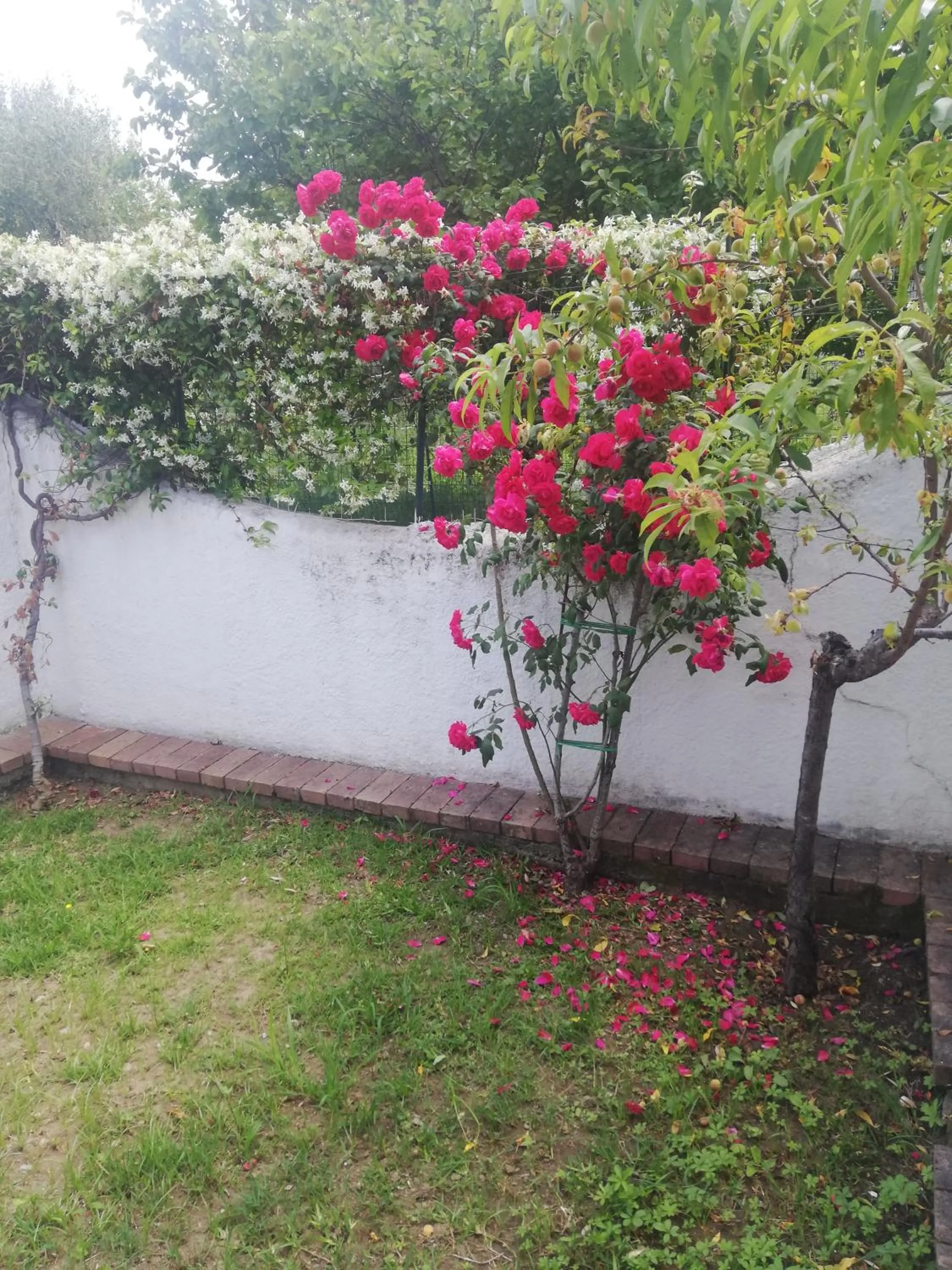 Hotel Villaggio Tabù